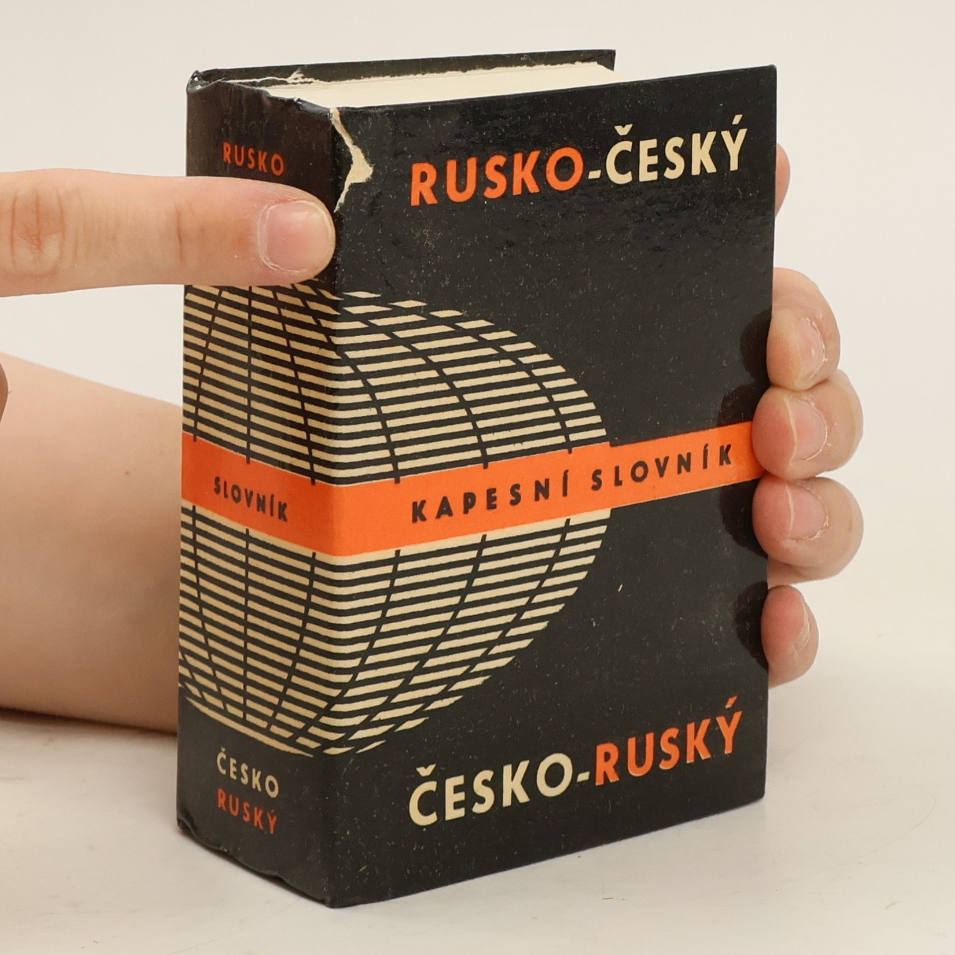 Jelizaveta Dvořáková Rusko-český, česko-ruský kapesní slovník