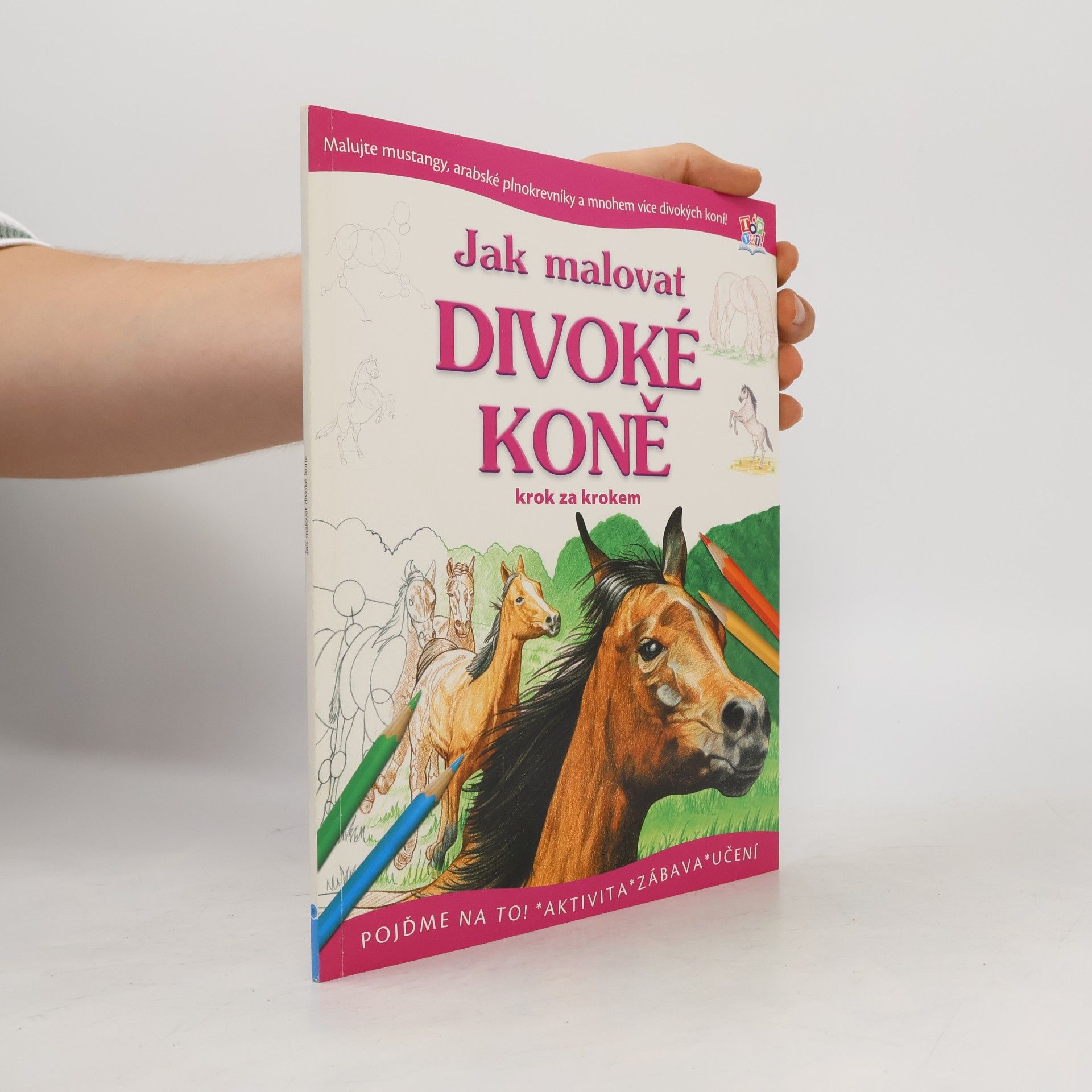Kolektiv autorů Jak malovat divoké koně krok za krokem