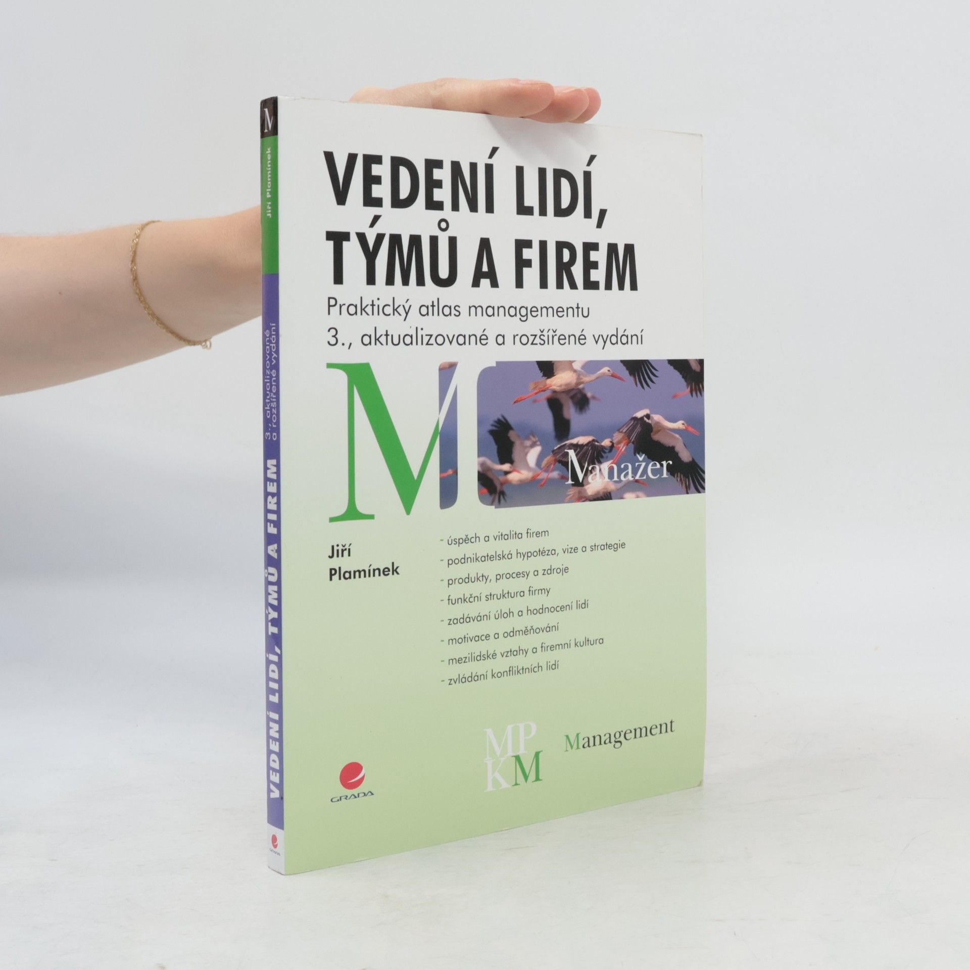 Jiří Plamínek Vedení lidí, týmů a firem. Praktický atlas managementu