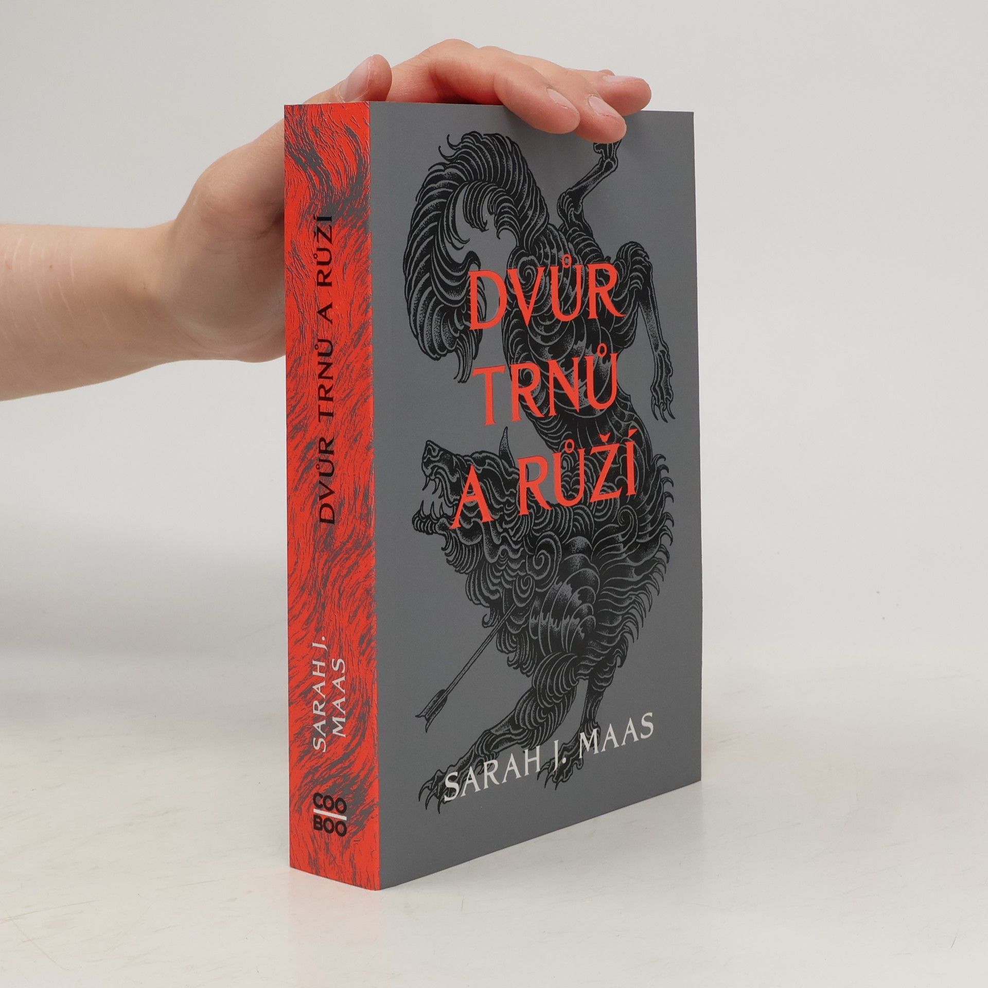 Sarah J. Maas Dvůr trnů a růží
