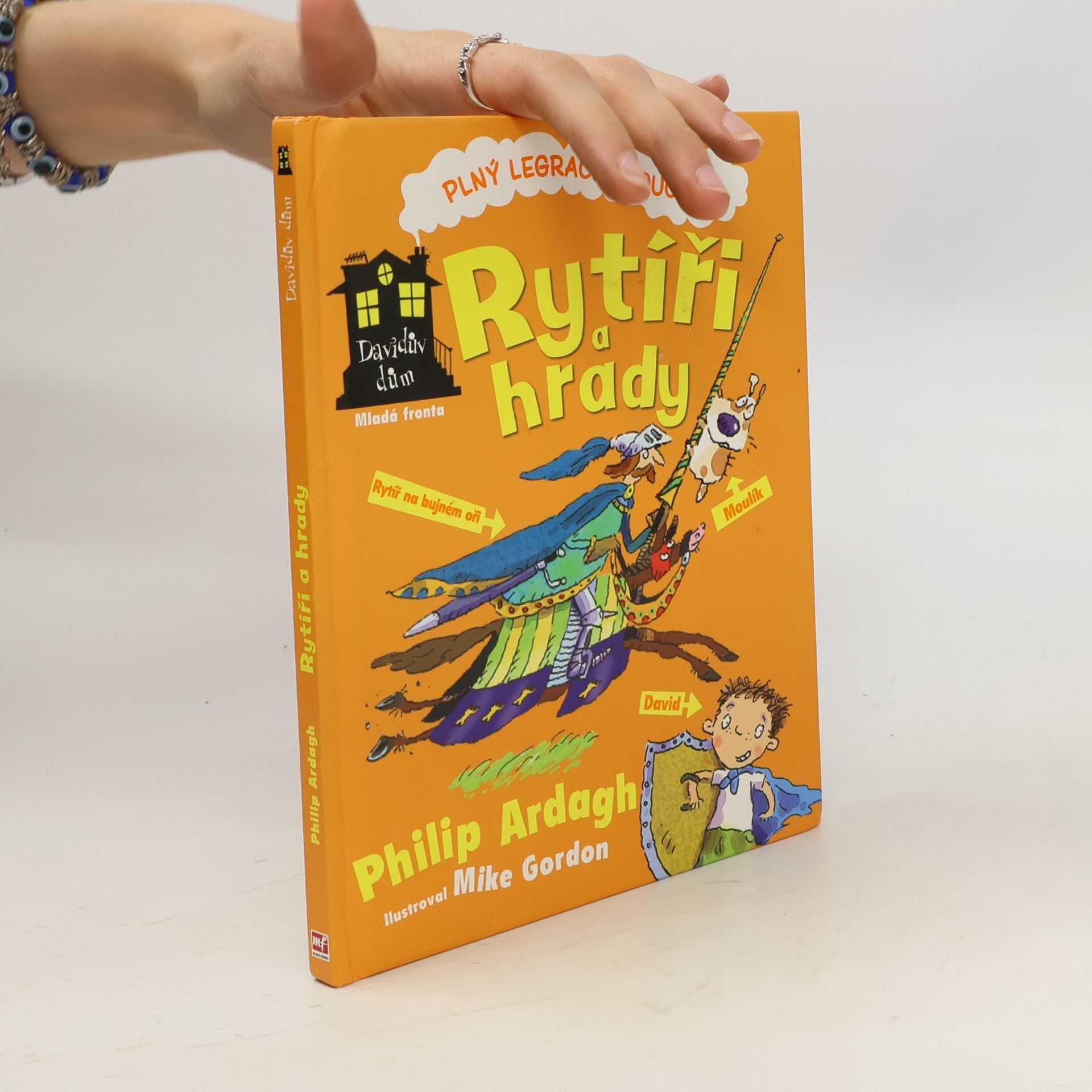Philip Ardagh Davidův dům. Rytíři a hrady