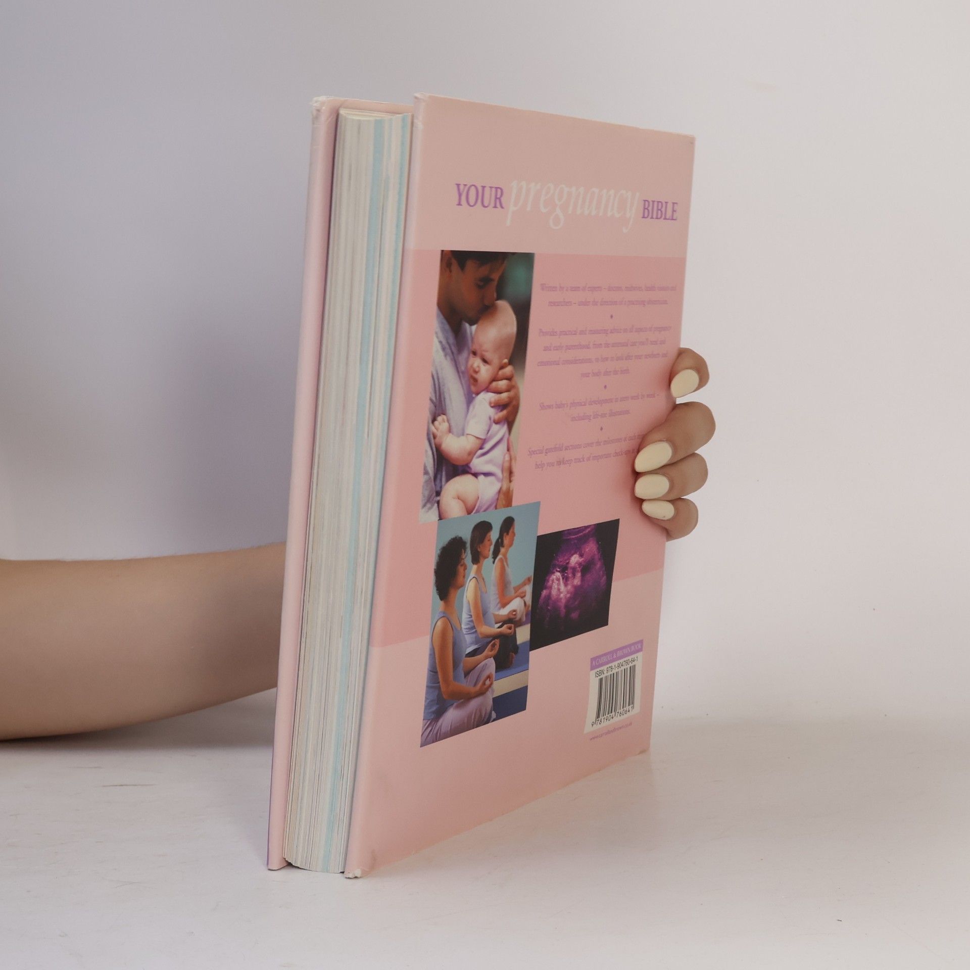 Anne Deans Your Pregnancy Bible