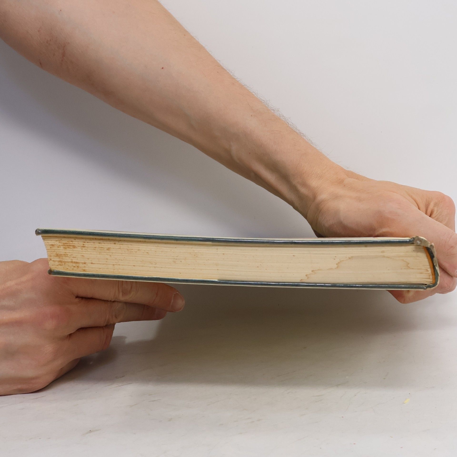 Anne Diekmann Das grosse Liederbuch