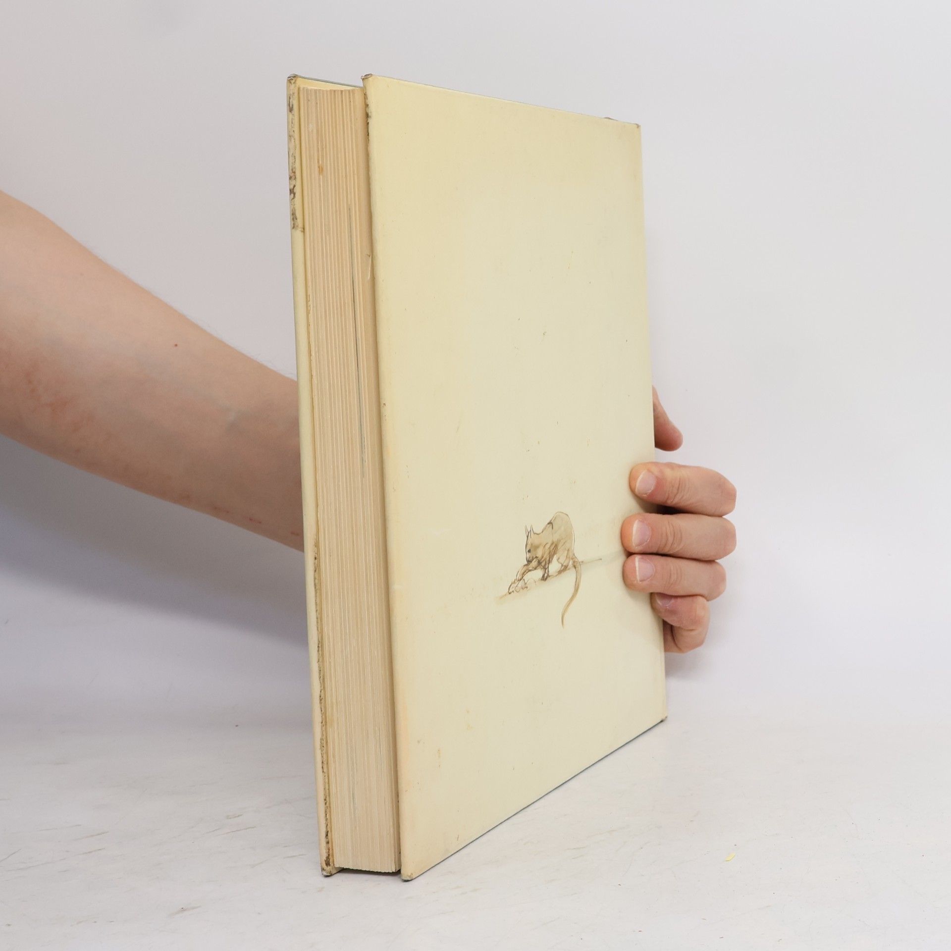 Anne Diekmann Das grosse Liederbuch