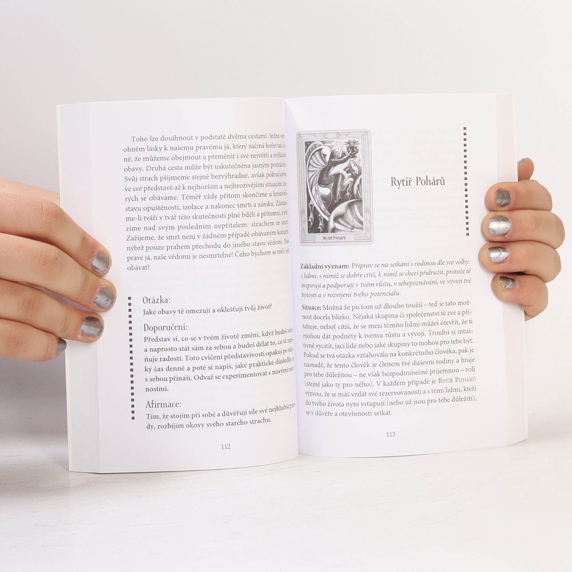 Gerd Ziegler Tarot : zrcadlo našeho určení : příručka k tarotu Aleistera Crowleyho