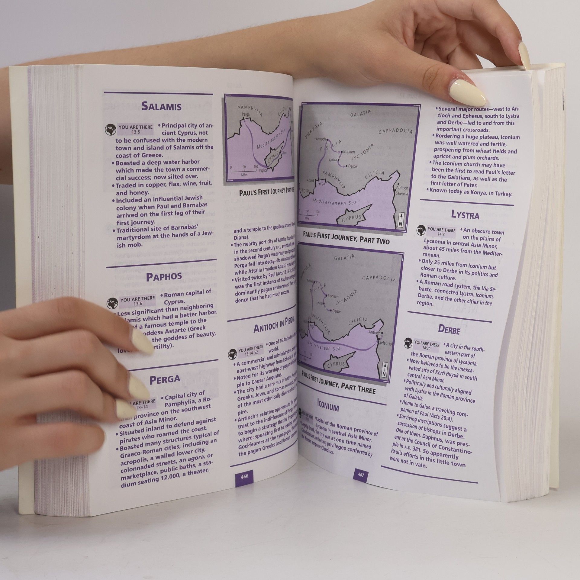 Nelsonword The Word in Life Study Bible