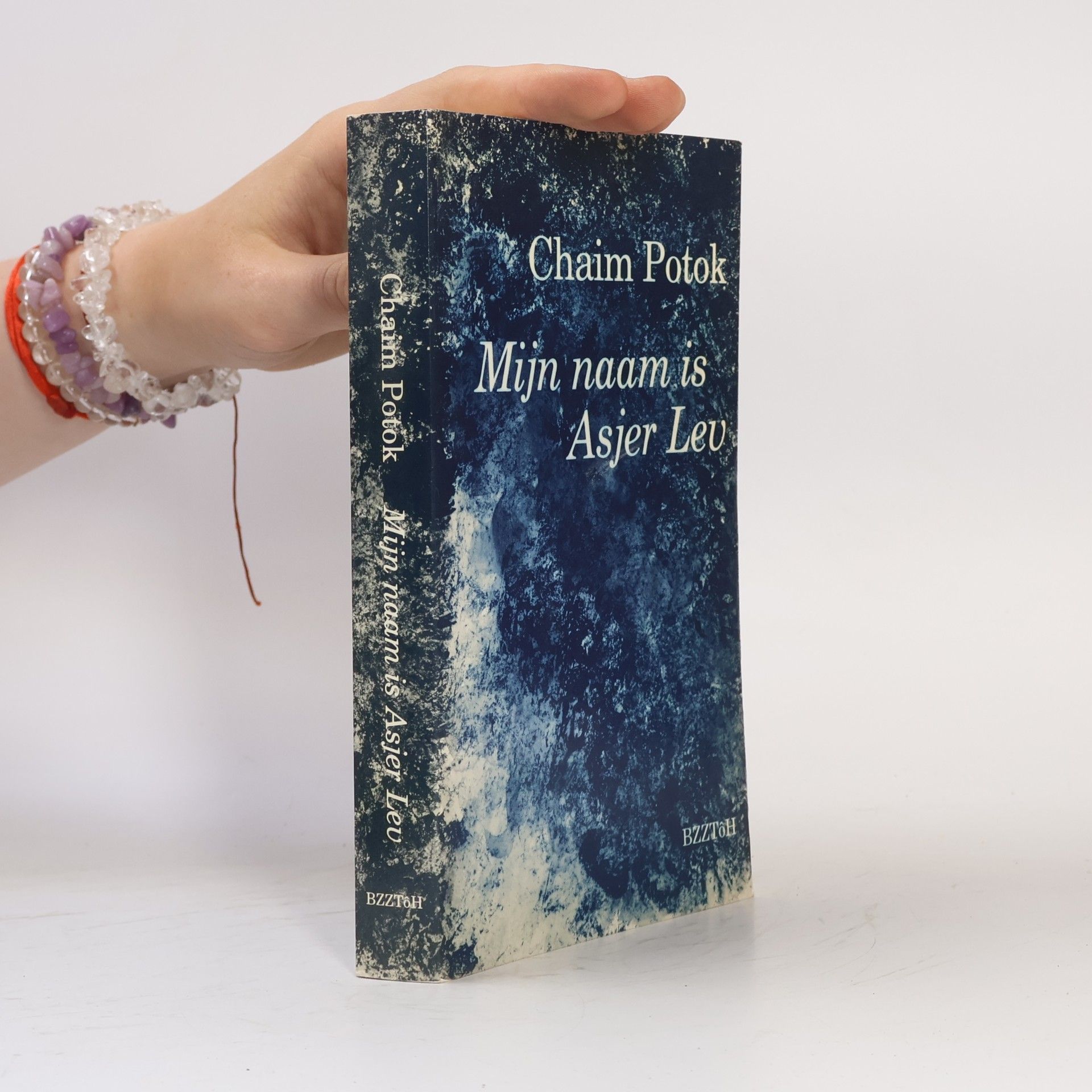 Chaim Potok Mijn naam is Ajser Lev