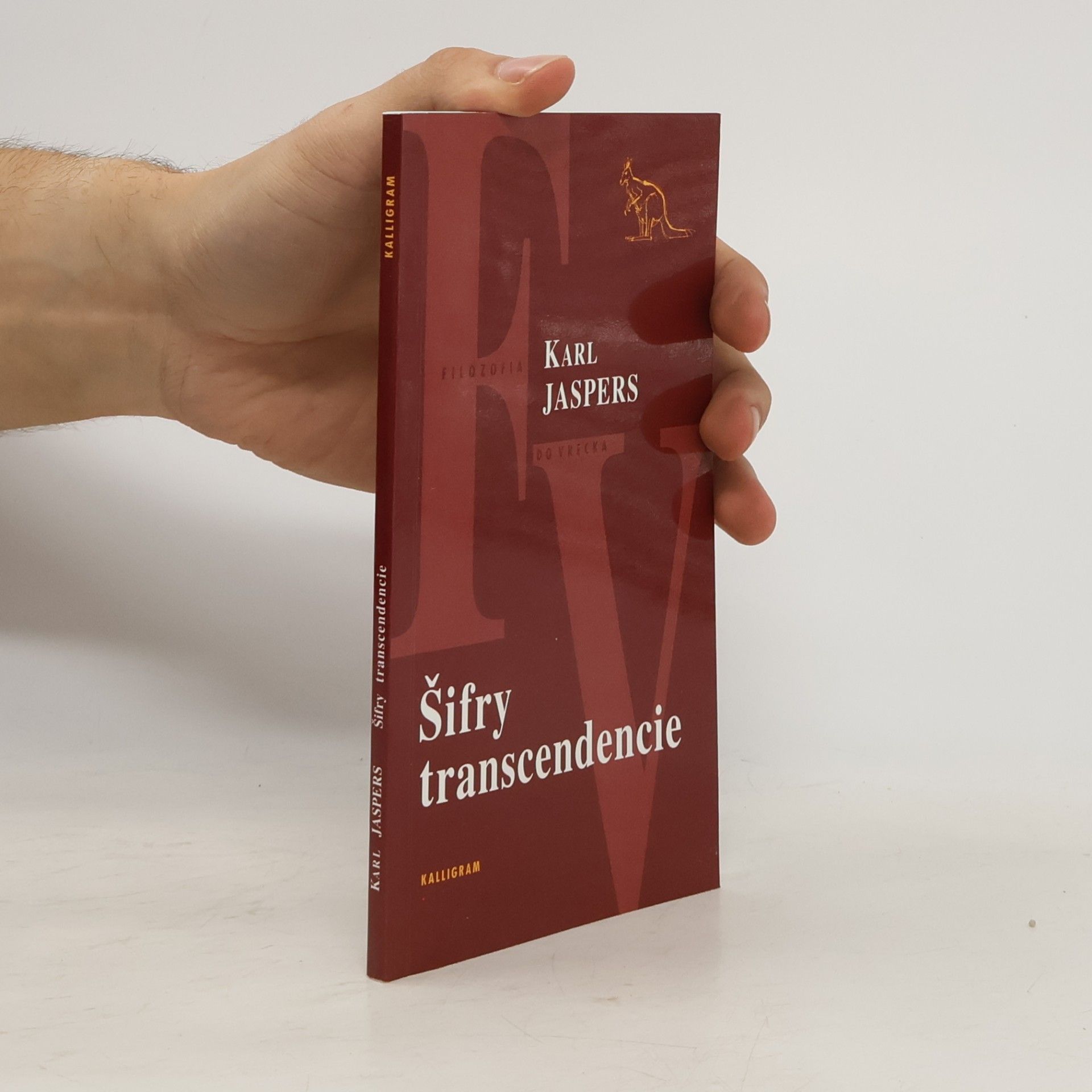 Karl Jaspers Šifry transcendencie