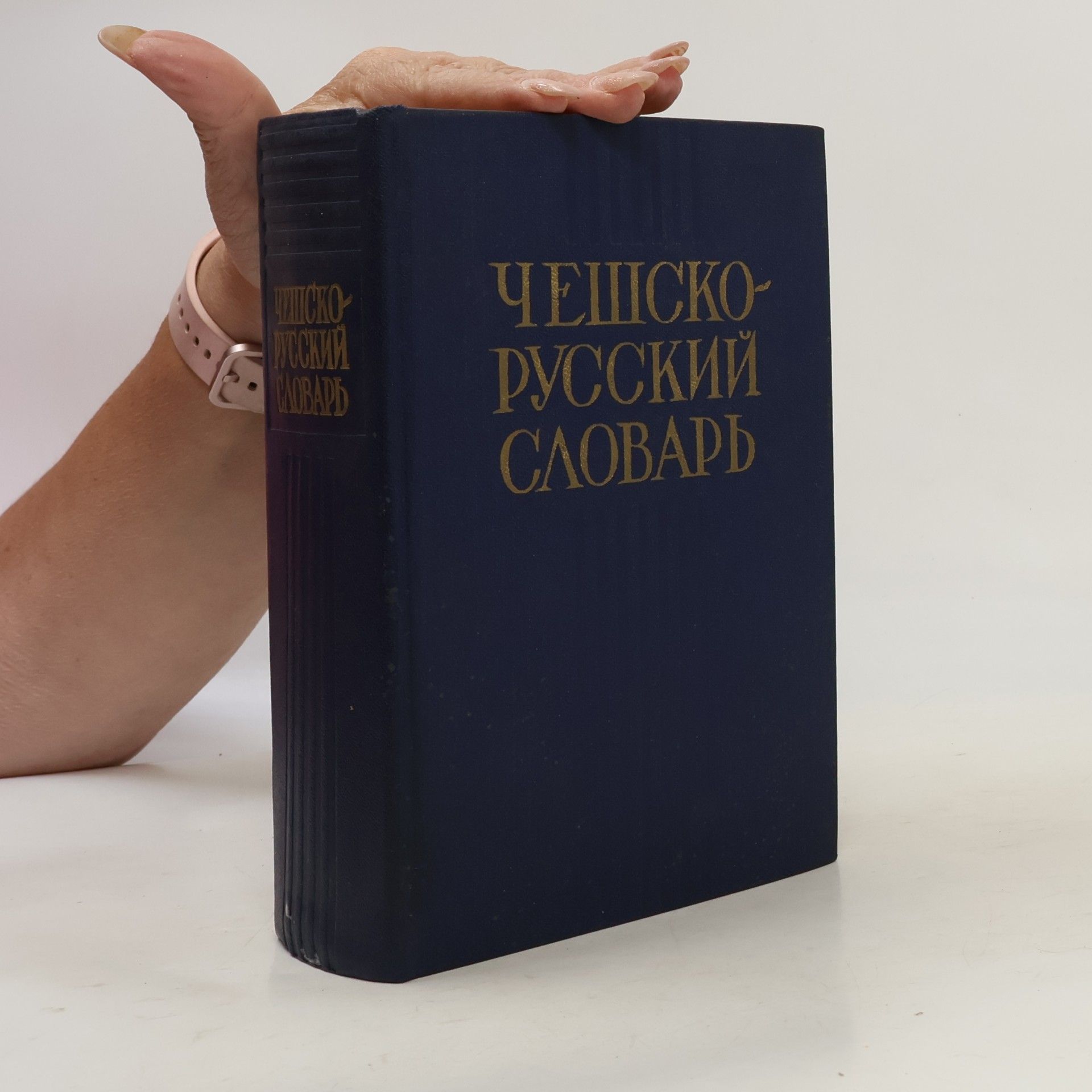Autorenkollektiv Чешско-Русский Словарь