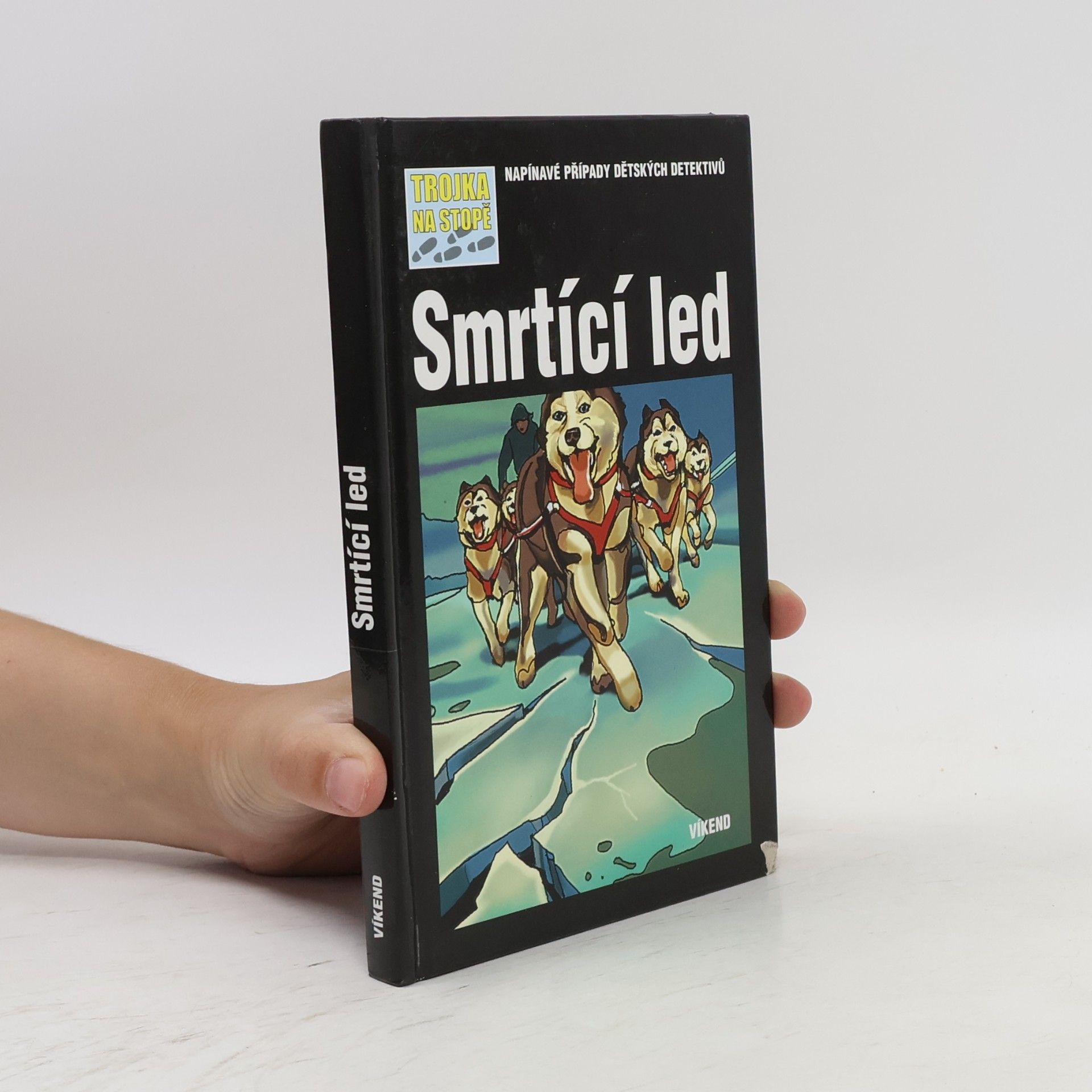 Kari Erlhoff Smrtící led