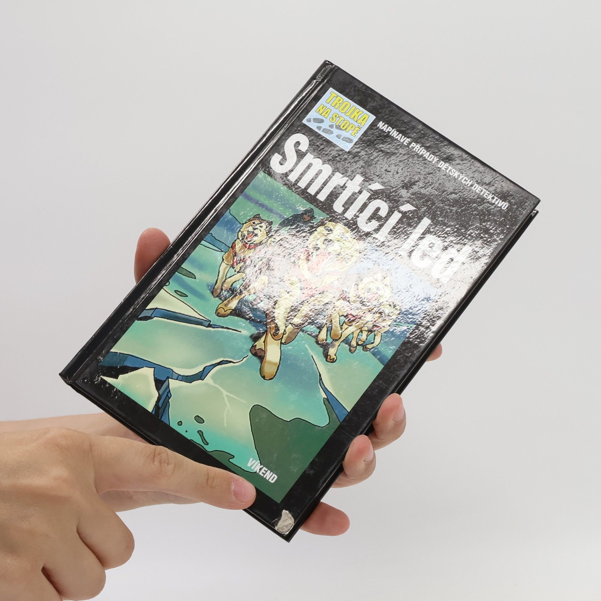 Kari Erlhoff Smrtící led
