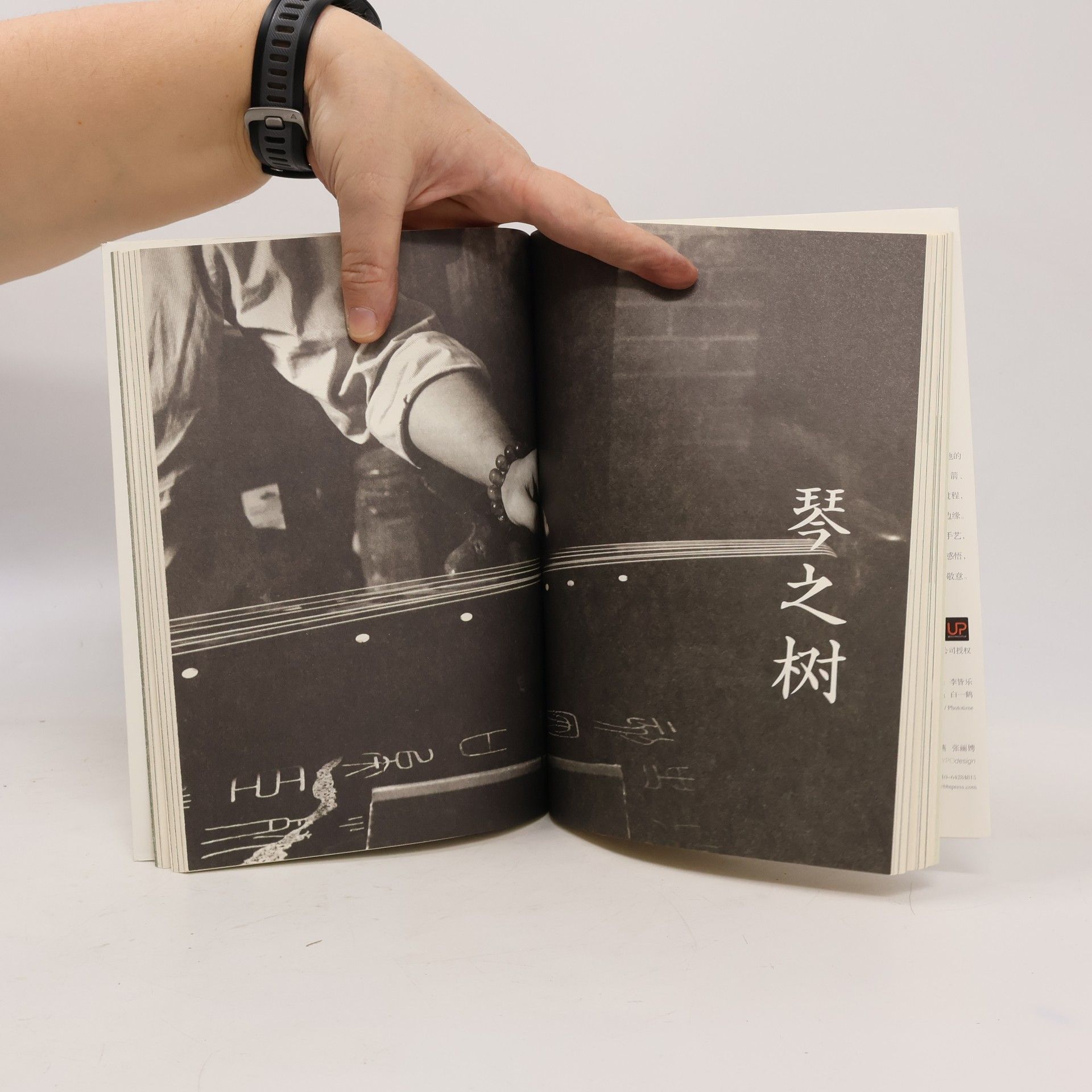 汪曾祺 有味