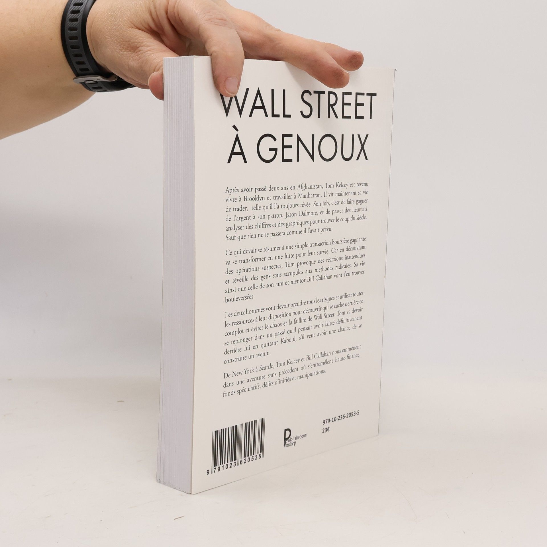 Thomas Veillet Wall Street à genoux