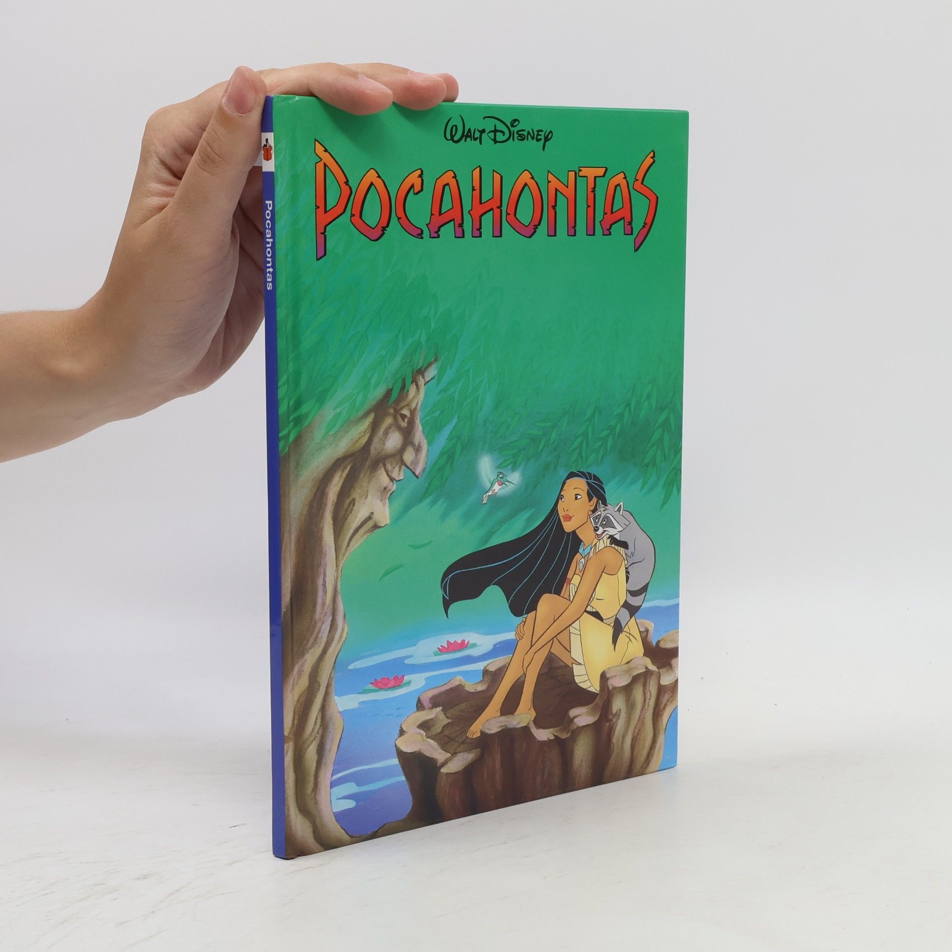 Walt Disney Pocahontas