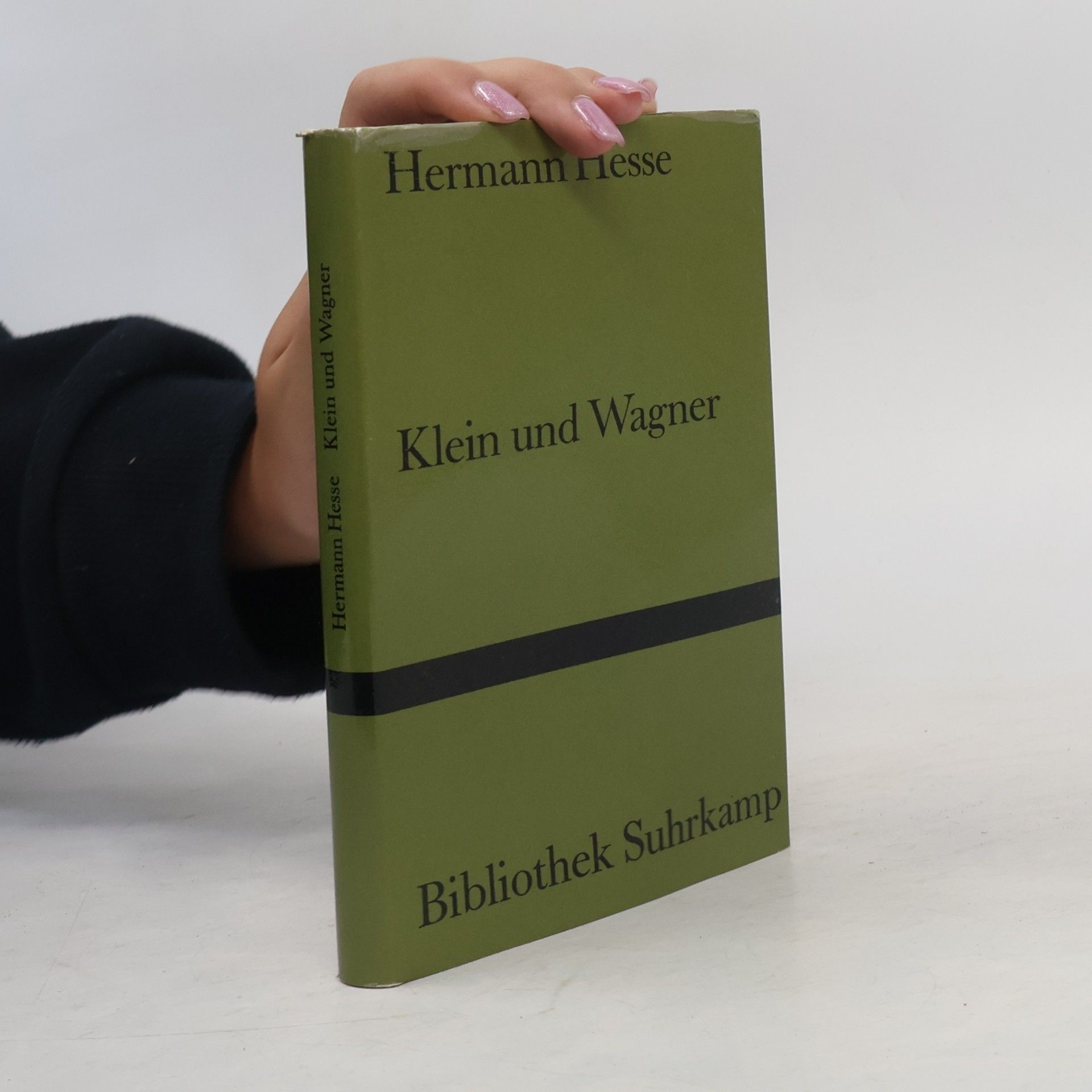 Hermann Hesse Klein und Wagner
