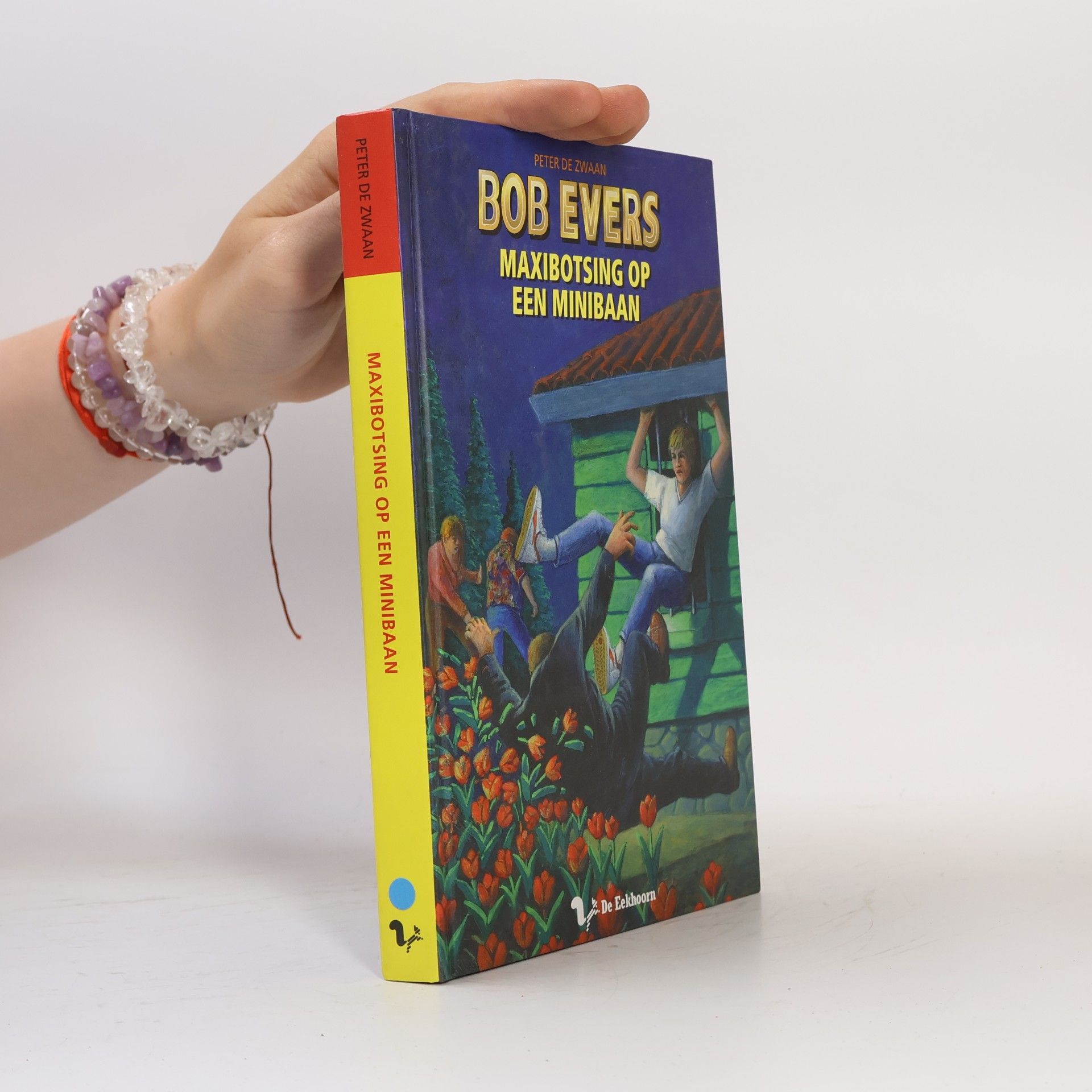 Peter de Zwaan Bob Evers - 49: Maxibotsing op een minibaan