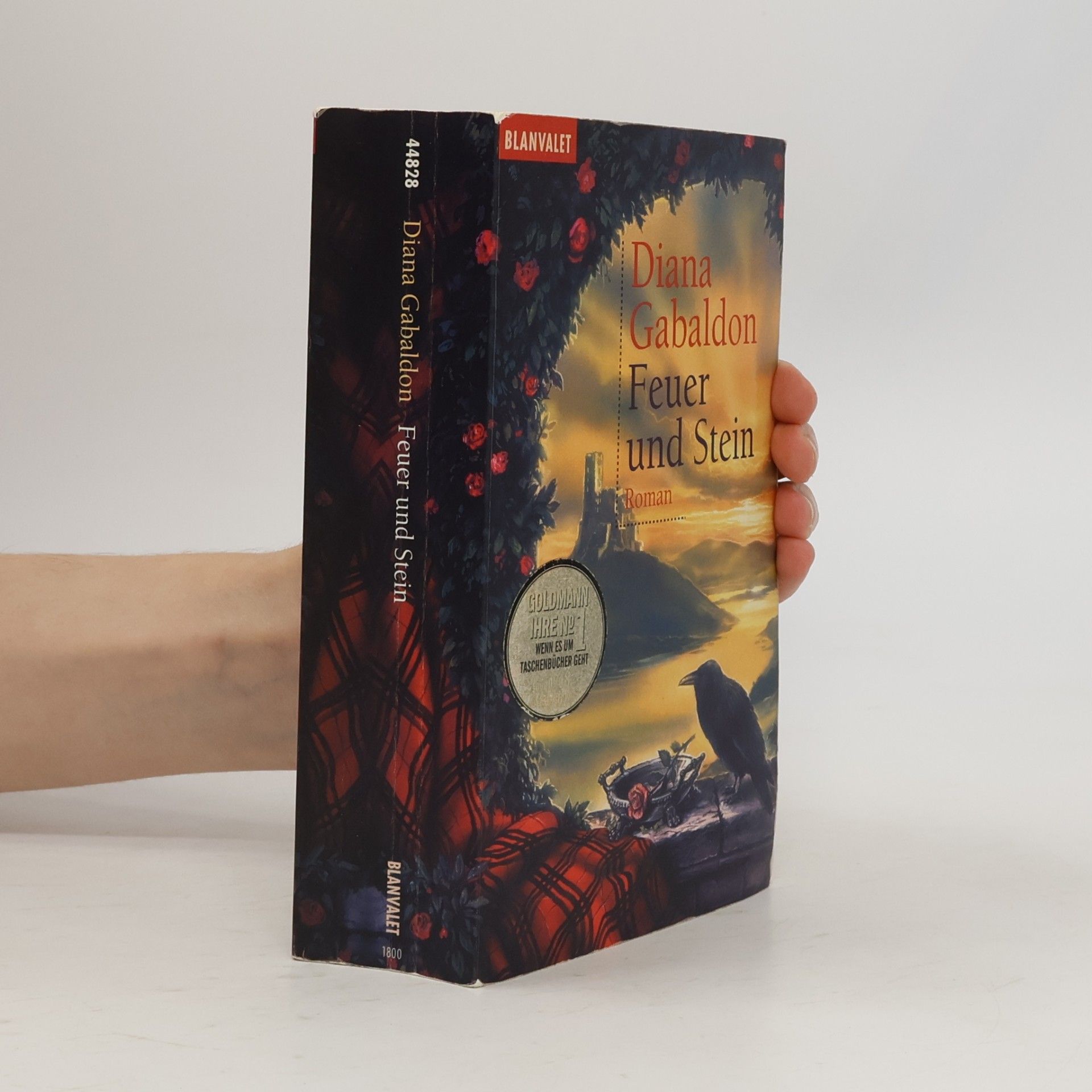 Diana Gabaldon Feuer und Stein