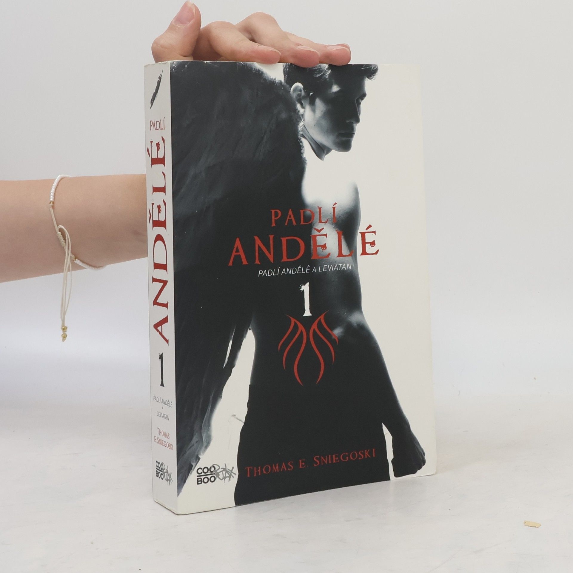 Tom Sniegoski Padlí andělé a Leviatan. Padlí andělé. 1. díl