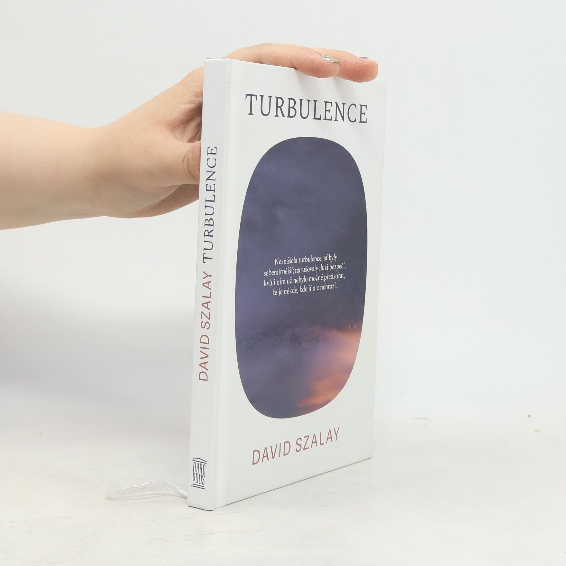 David Szalay Turbulence