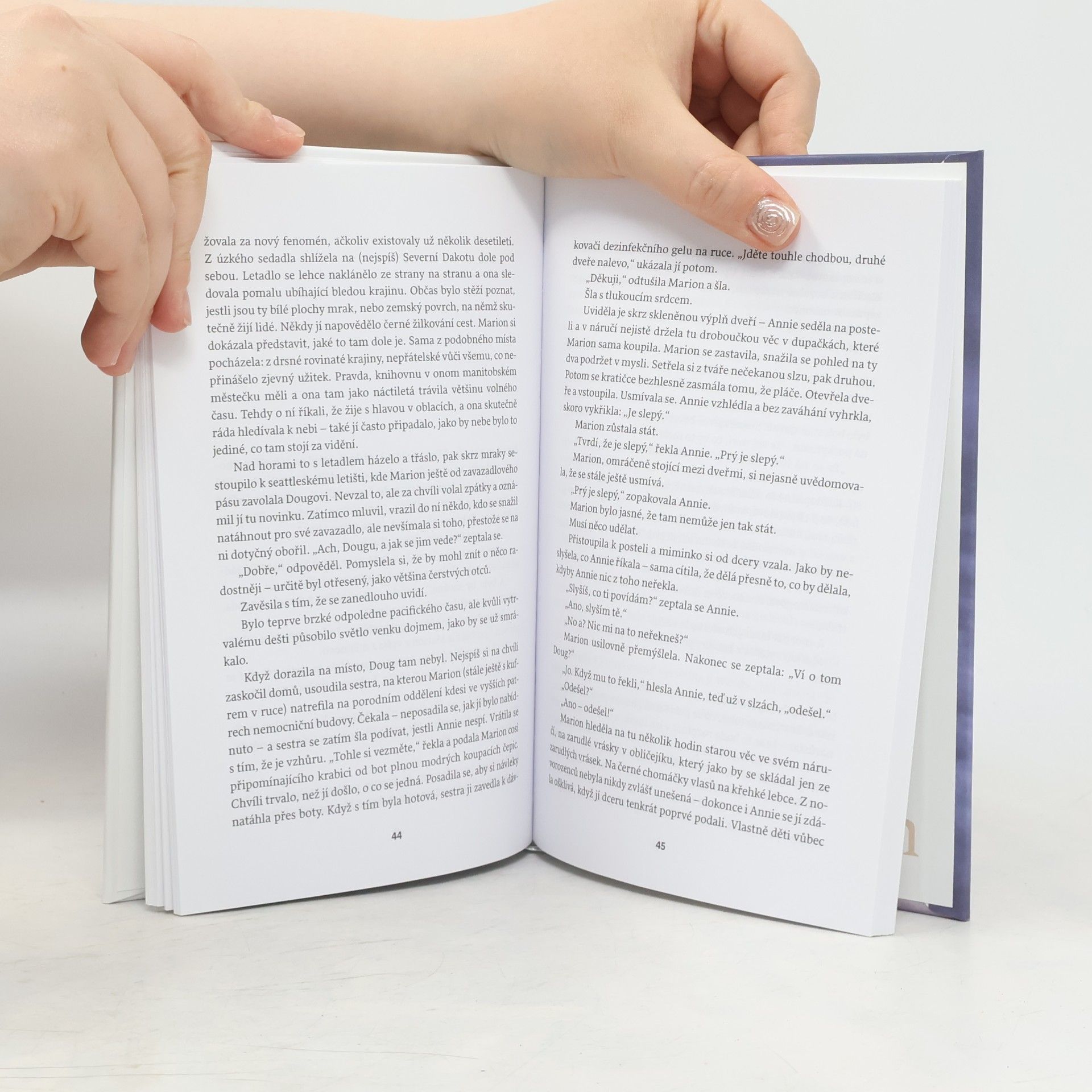 David Szalay Turbulence