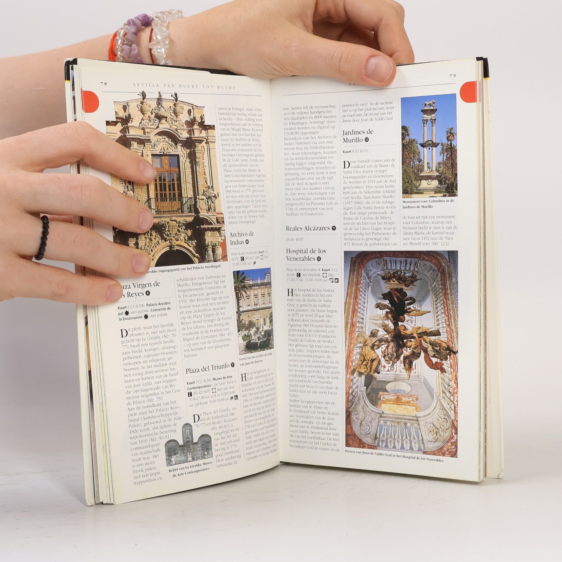 David Baird Capitool Reisgidsen: Sevilla & Andalusie