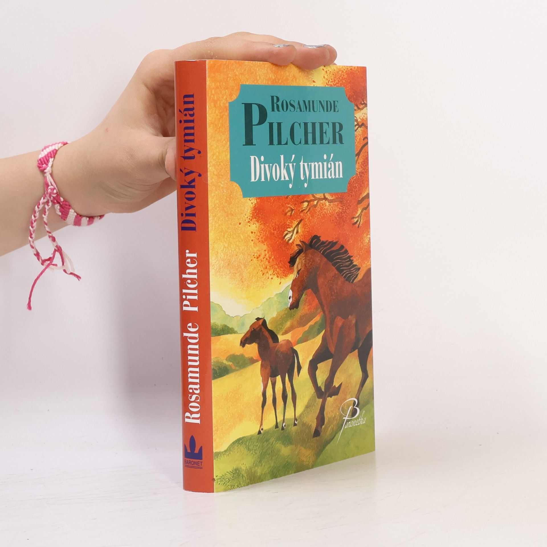 Rosamunde Pilcher Divoký tymián