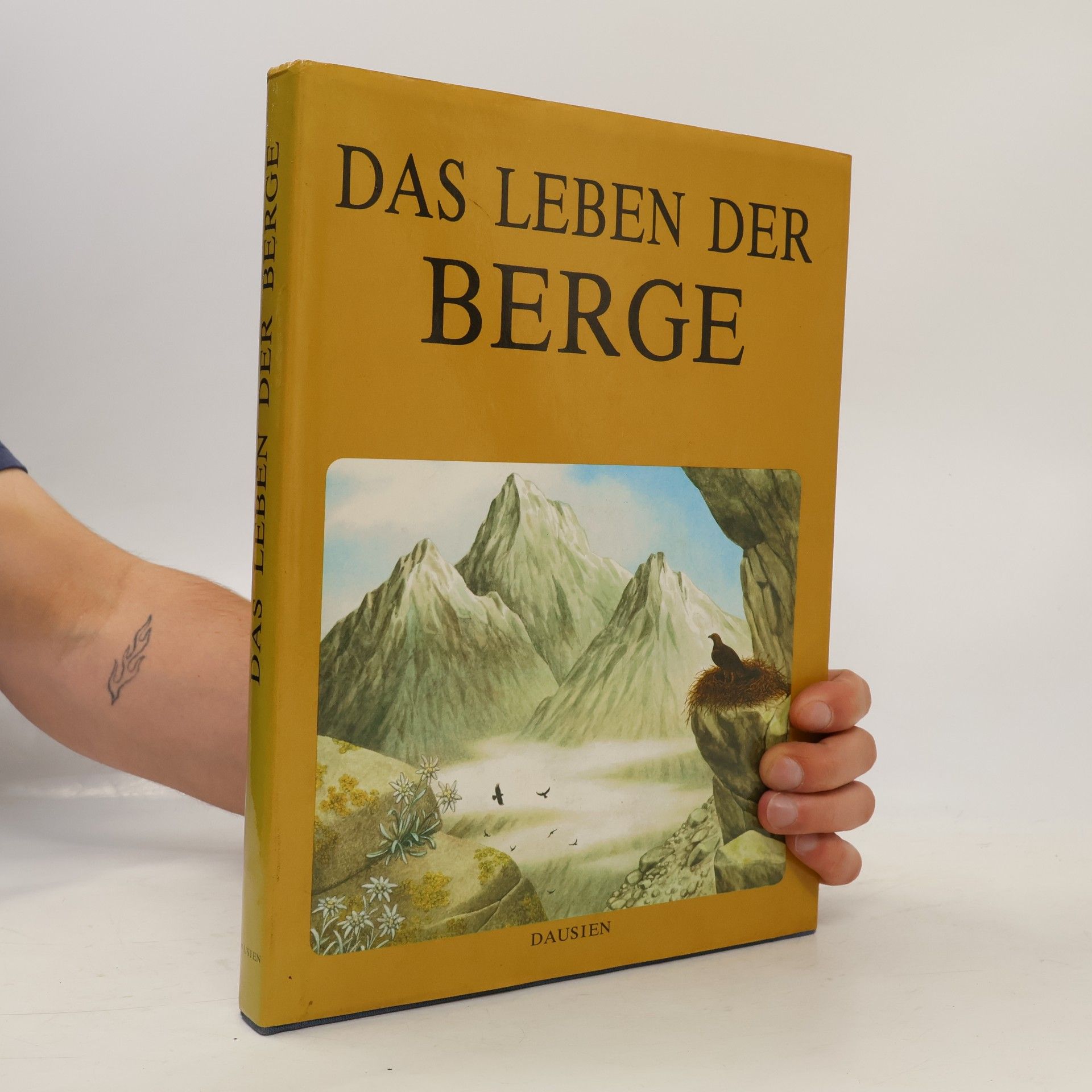 Das Leben der Berge