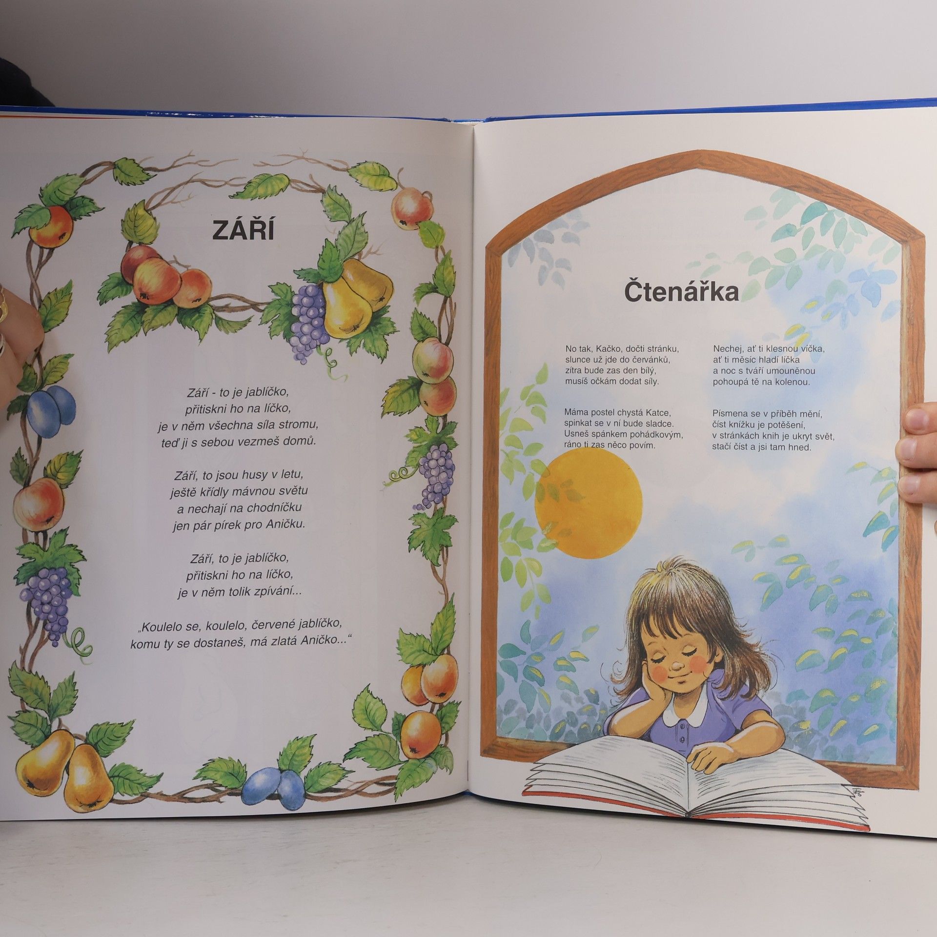 Anikó Csörgő Velká kniha malého školáka