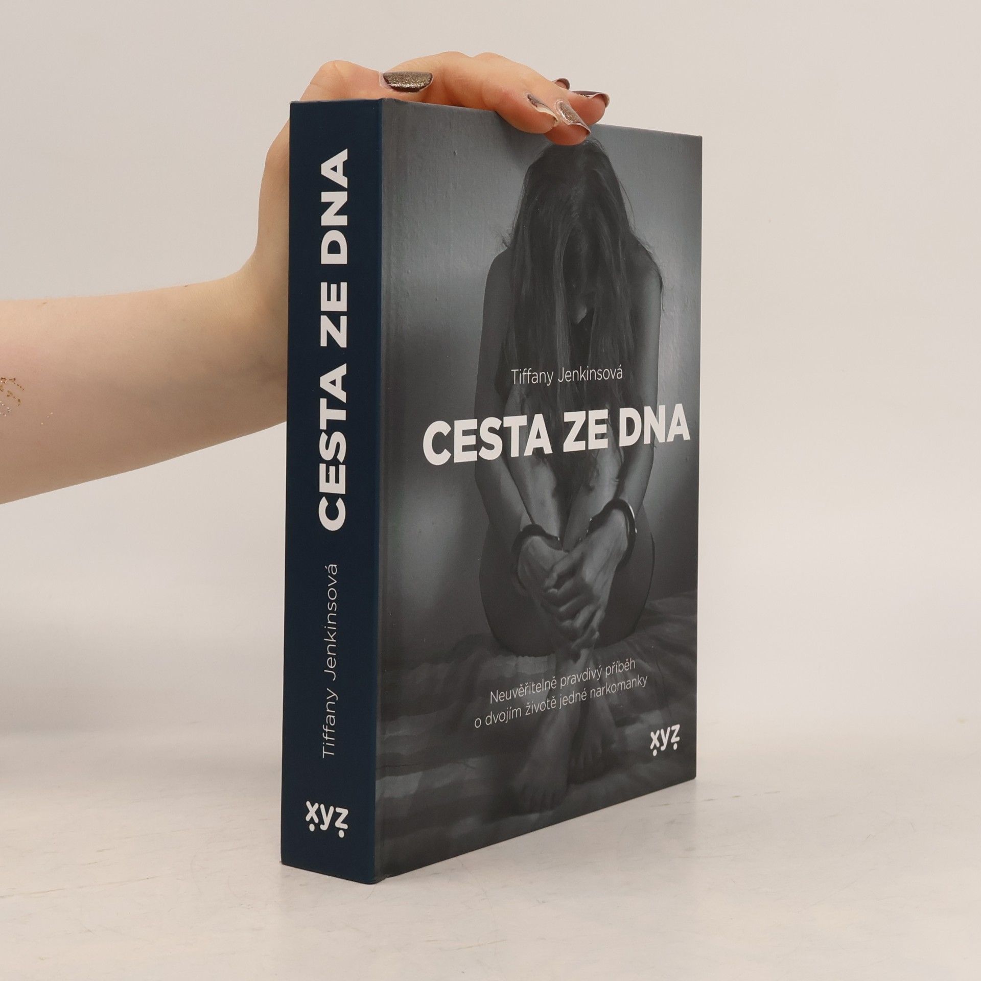 Tiffany Jenkins Cesta ze dna : neuvěřitelně pravdivý příběh o dvojím životě jedné narkomanky