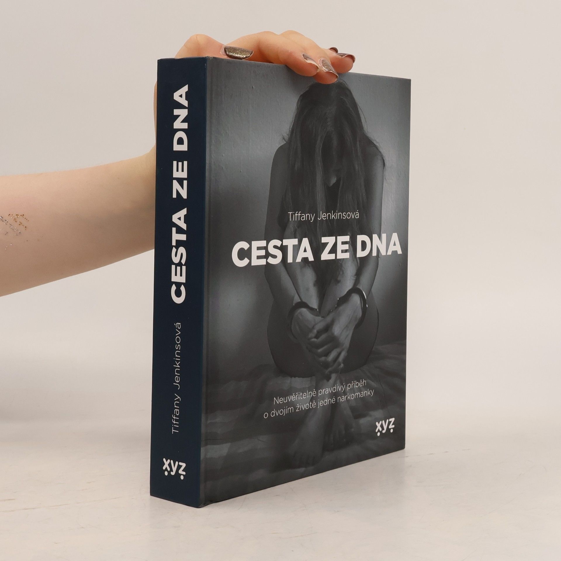 Tiffany Jenkins Cesta ze dna : neuvěřitelně pravdivý příběh o dvojím životě jedné narkomanky