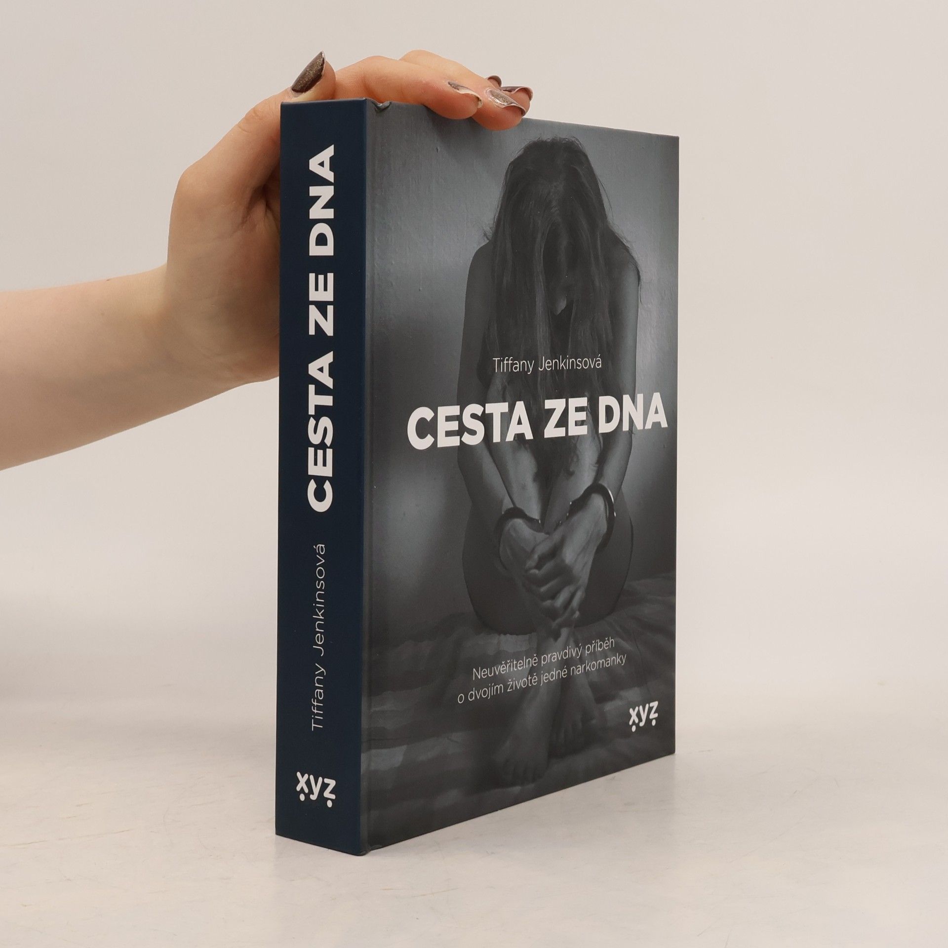 Tiffany Jenkins Cesta ze dna : neuvěřitelně pravdivý příběh o dvojím životě jedné narkomanky