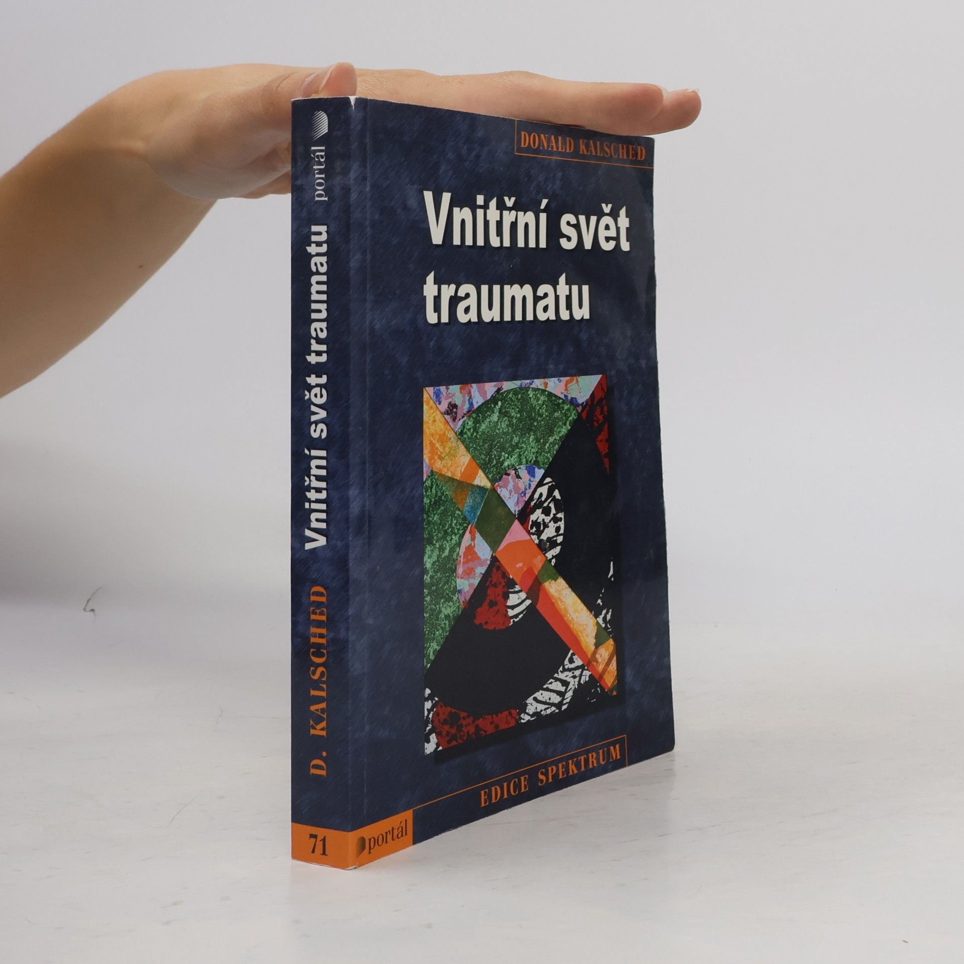 Donald Kalsched Vnitřní svět traumatu