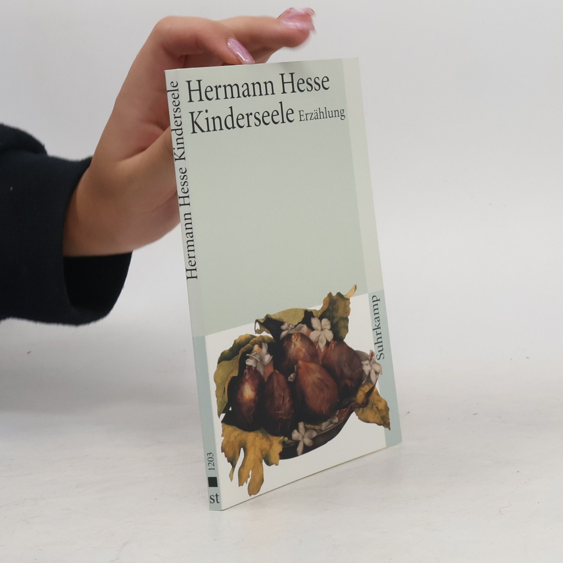 Hermann Hesse Kinderseele