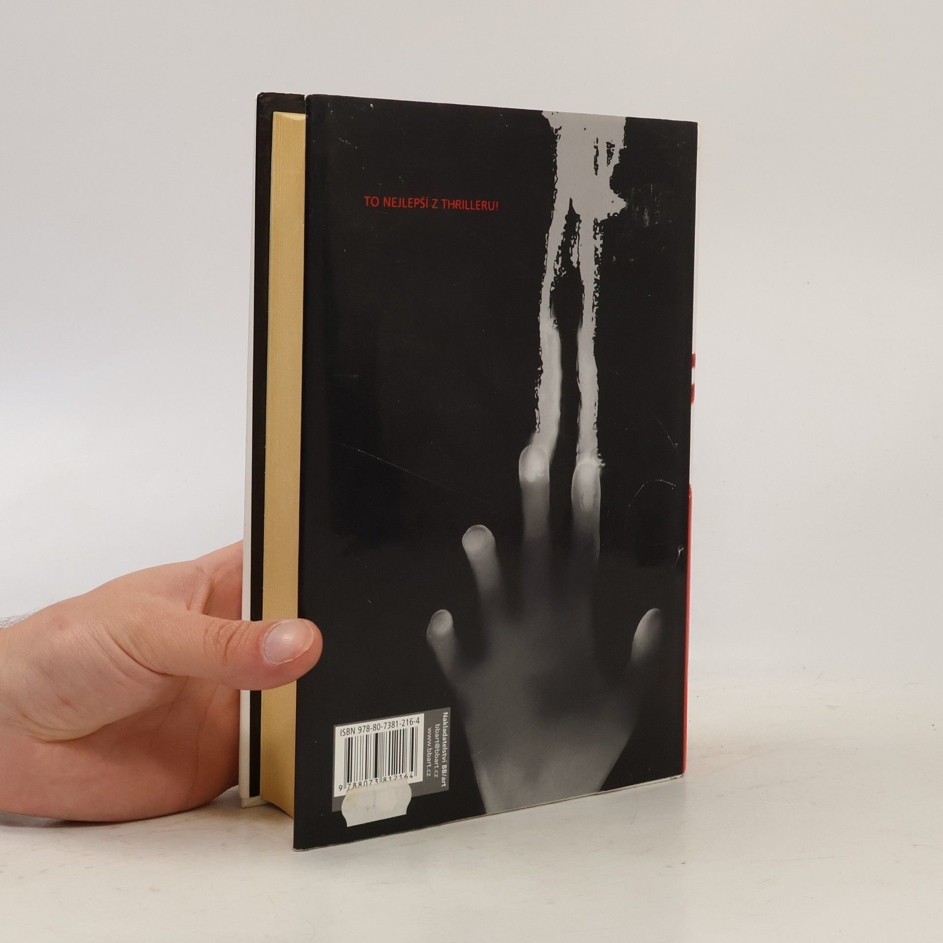 Ted Bell Thriller