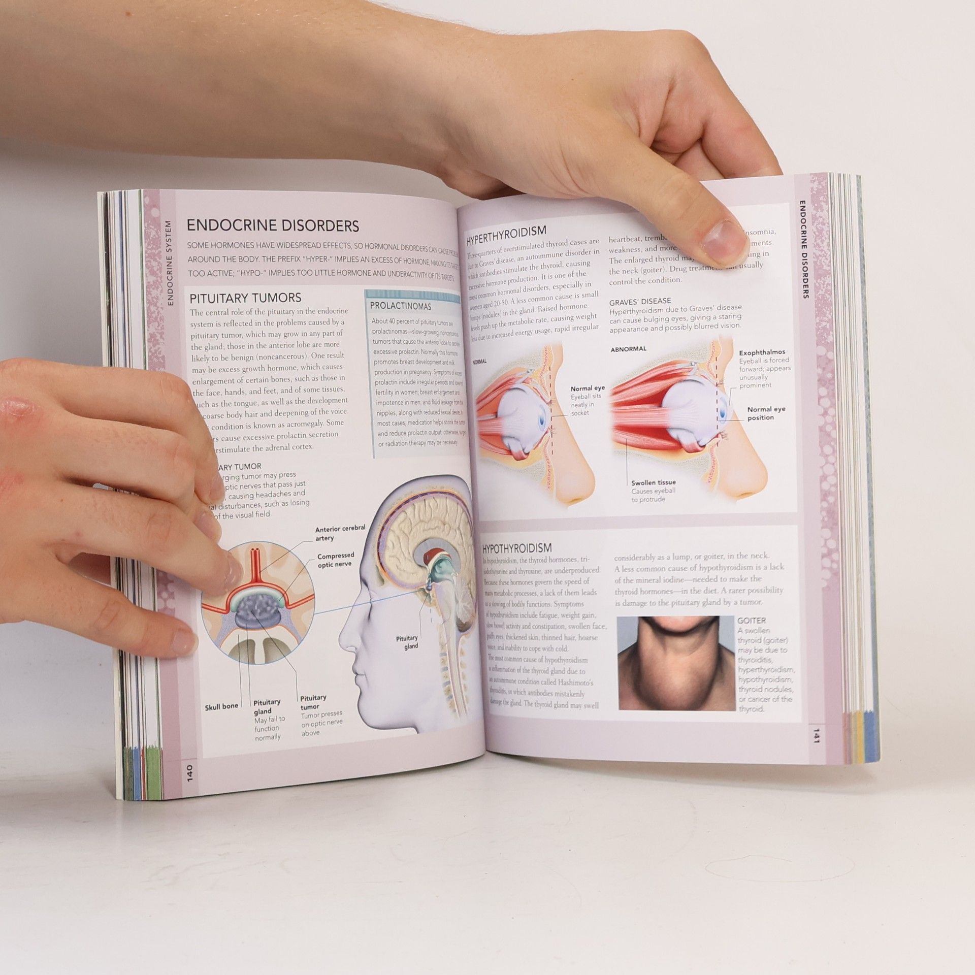 Steve Parker The Concise Human Body Book: This Is an Abridged Version of The Human Body Book