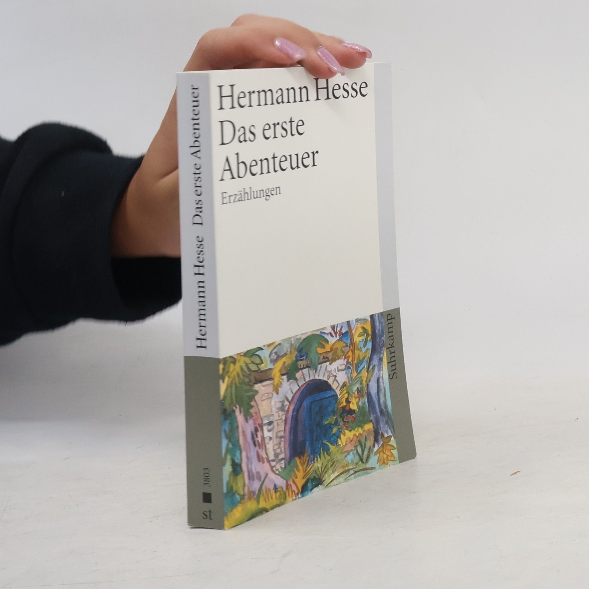 Hermann Hesse Das erste Abenteuer