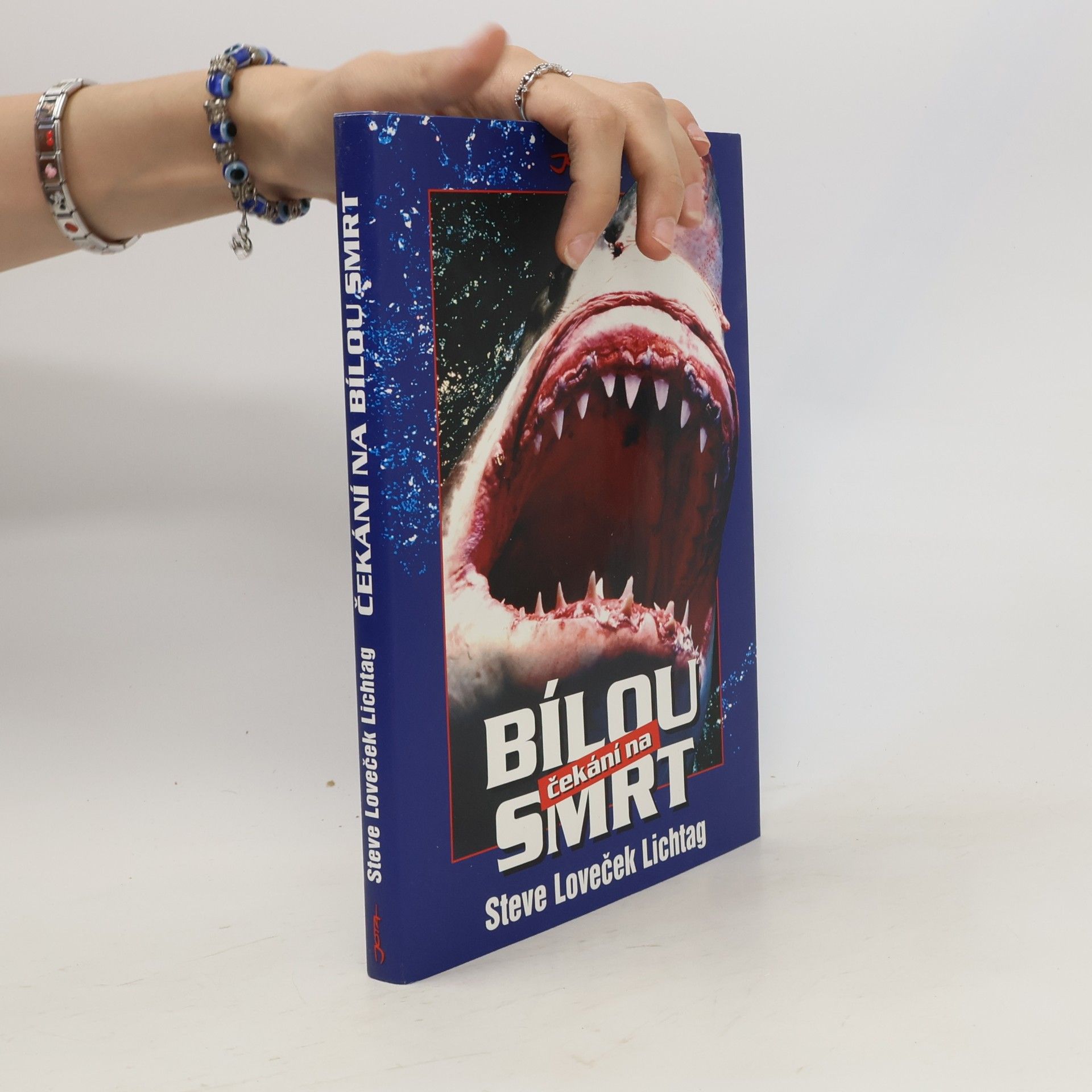 Steve Lichtag Čekání na bílou smrt
