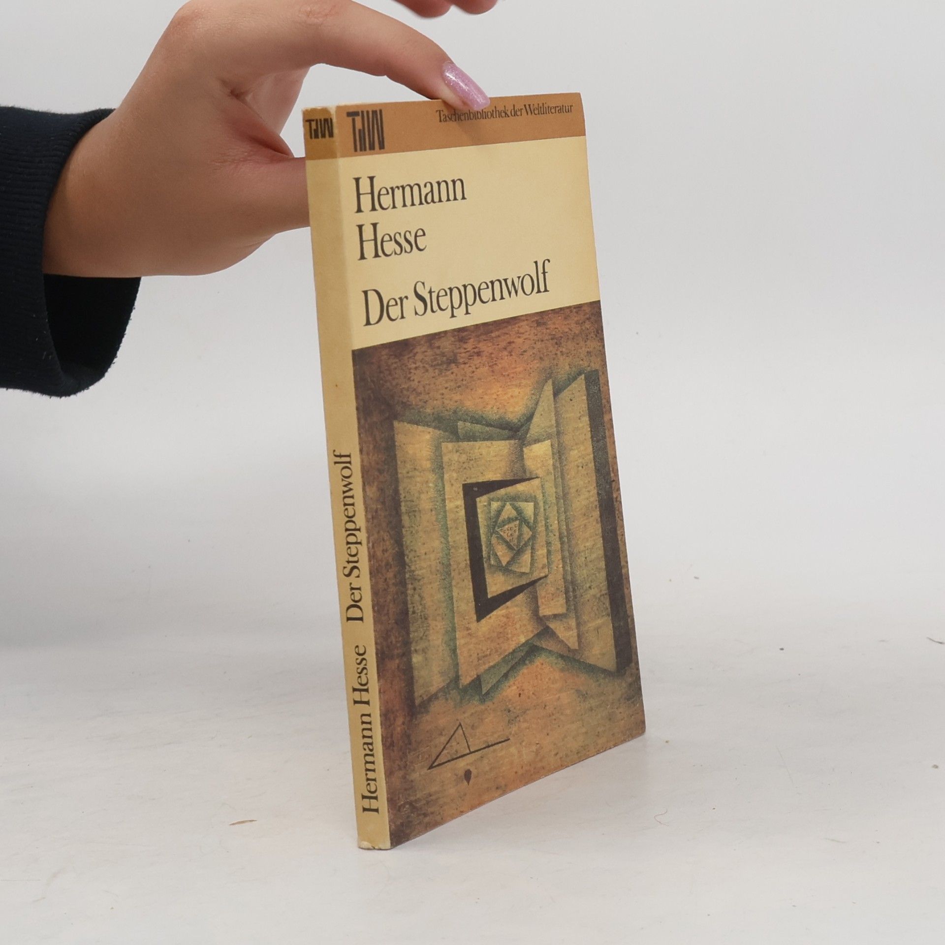 Hermann Hesse Der Steppenwolf