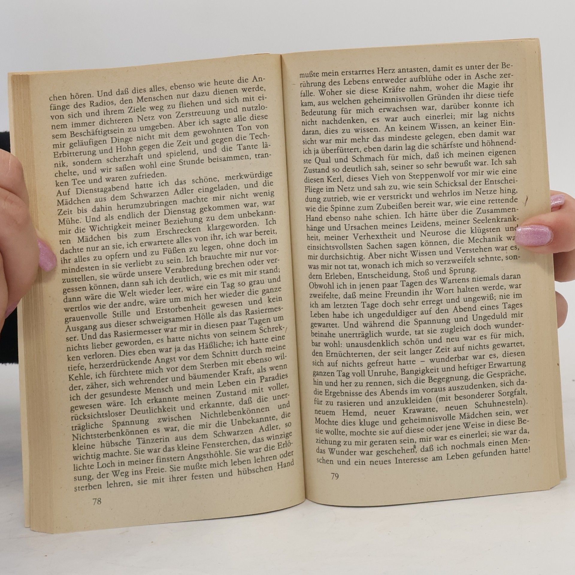 Hermann Hesse Der Steppenwolf
