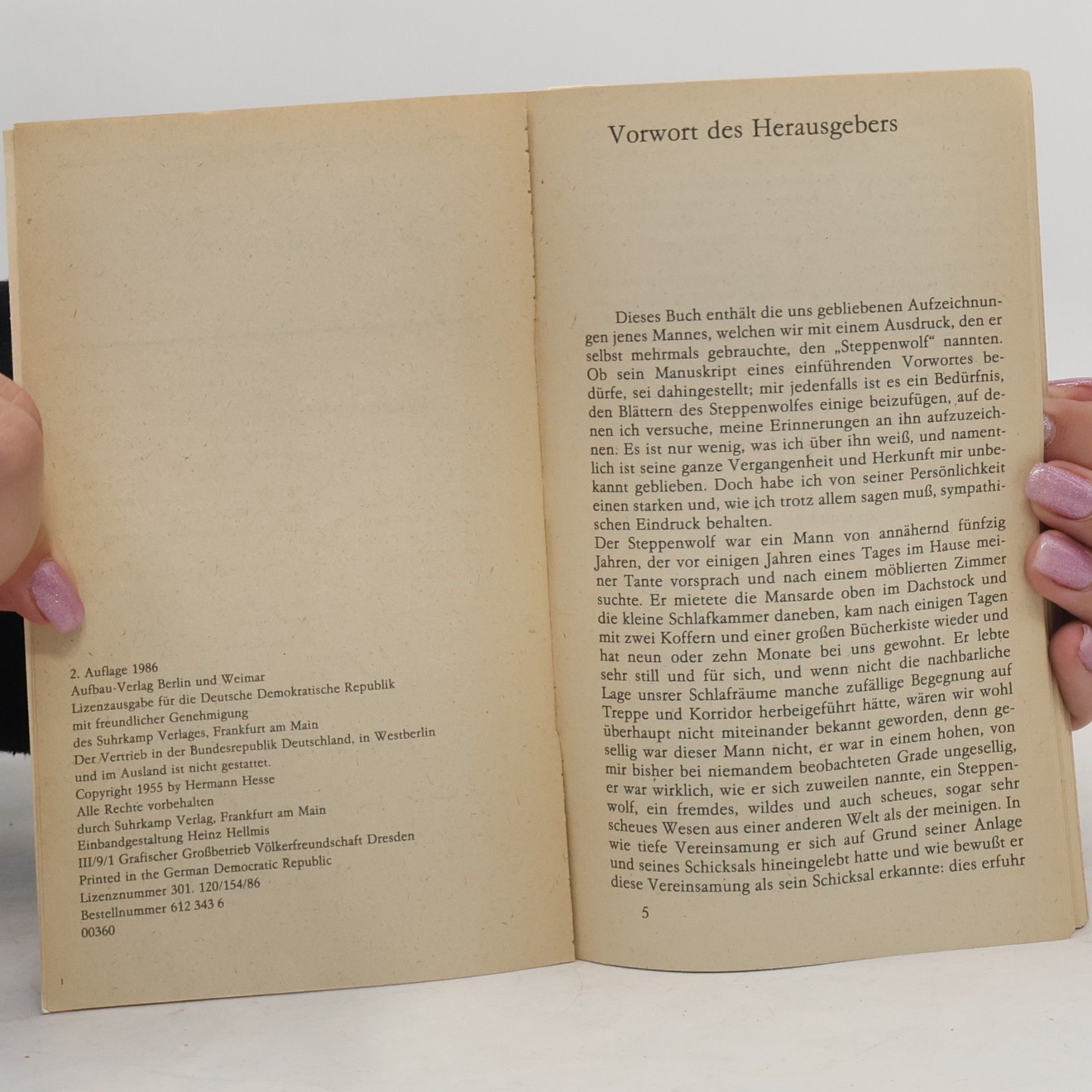 Hermann Hesse Der Steppenwolf