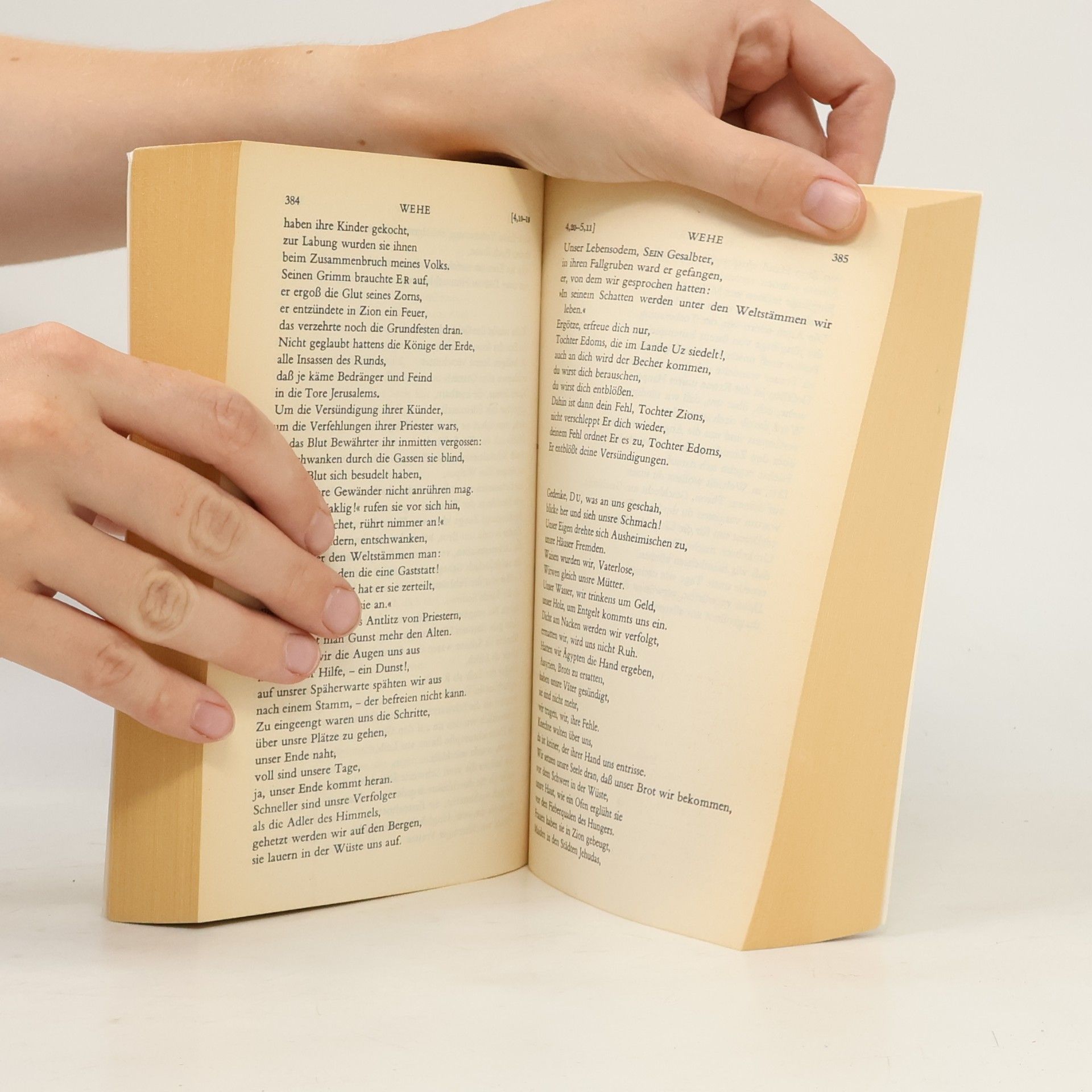 Martin Buber Die Schriftwerke 4