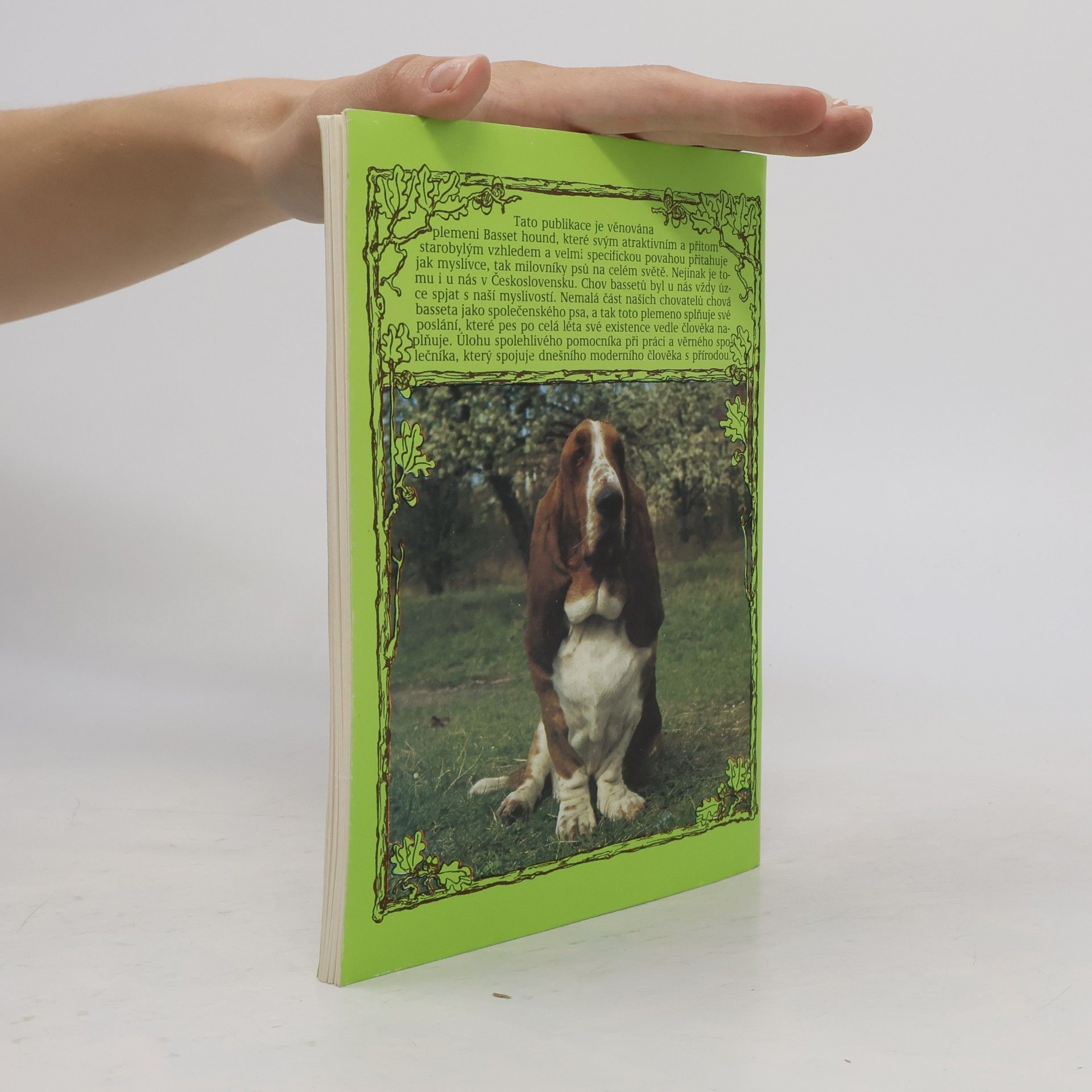 Alena Vejvodová Basset hound CS