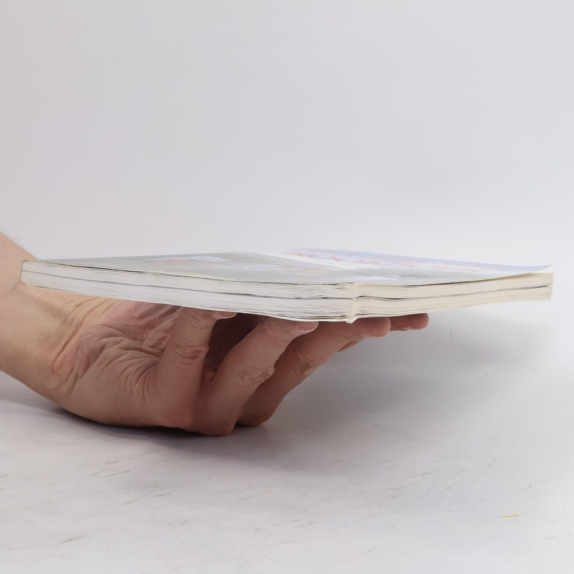 Jenny van Dalen Het Bijlmer-kookboek
