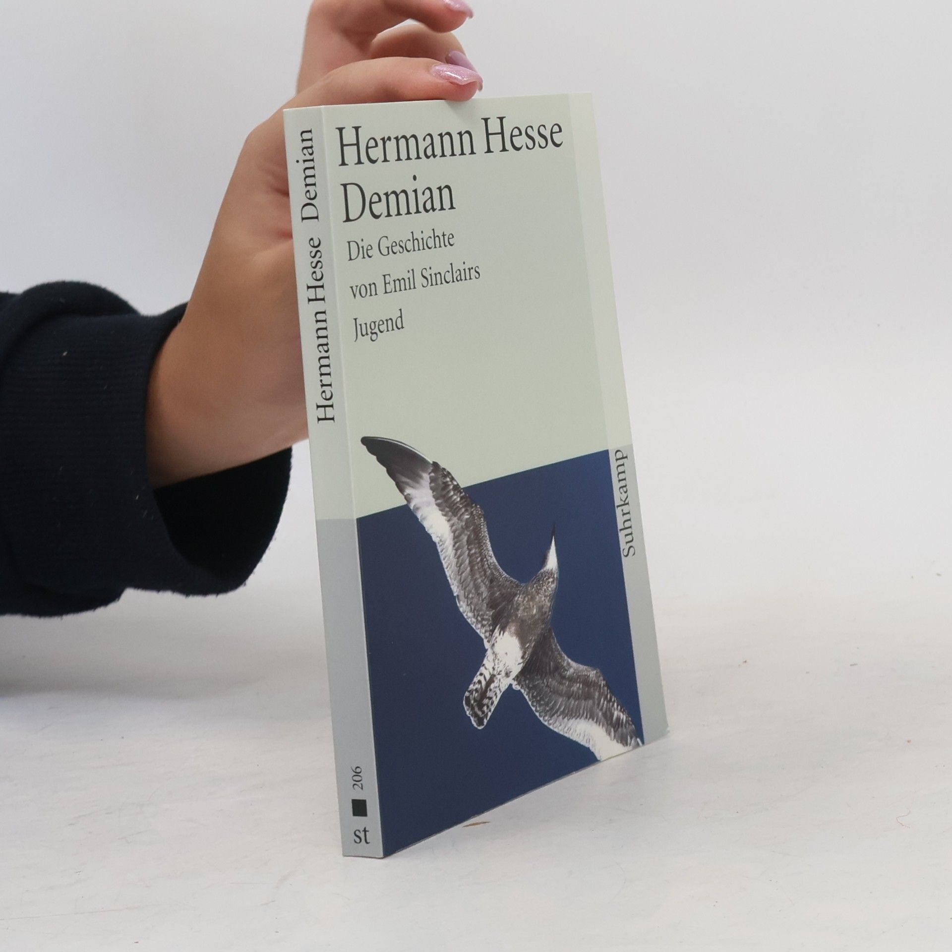 Hermann Hesse Demian