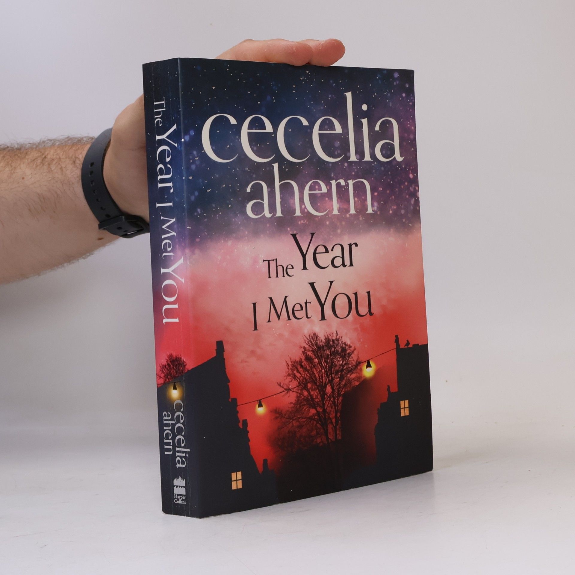 Cecelia Ahern The year I met you