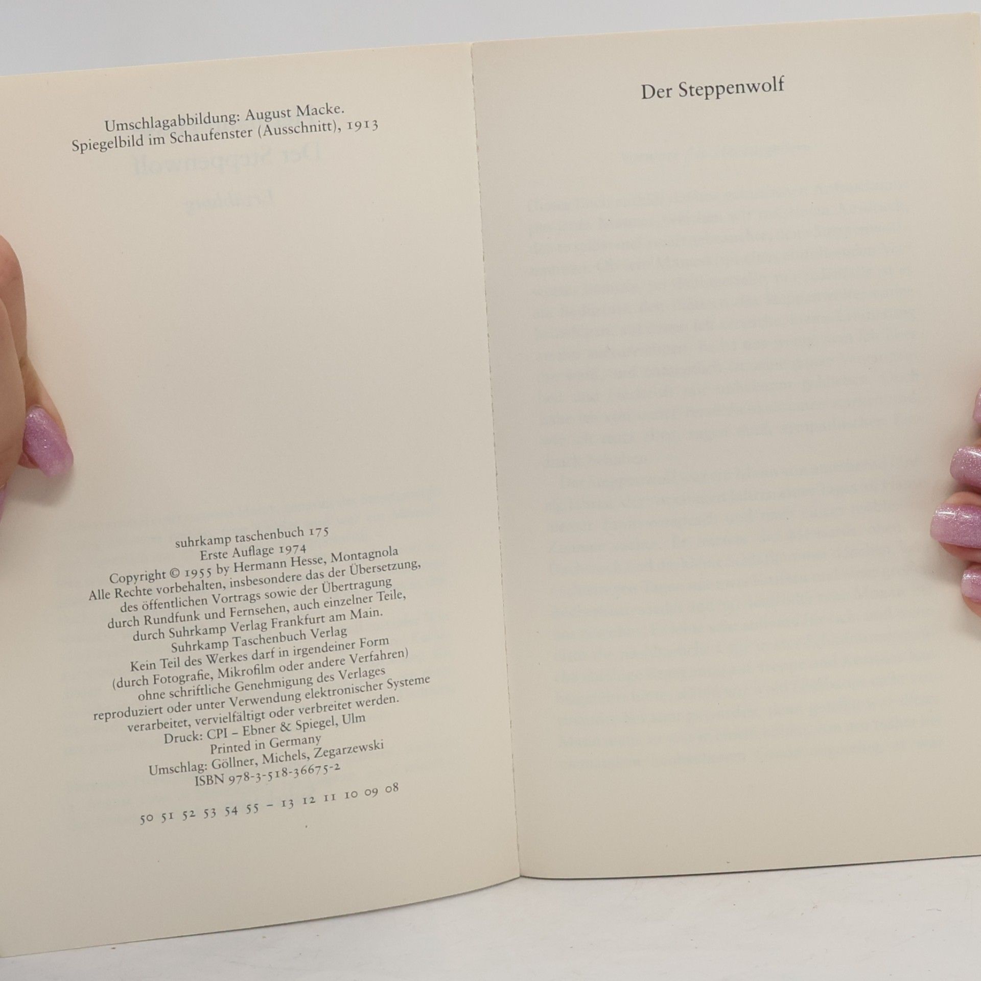 Hermann Hesse Der Steppenwolf