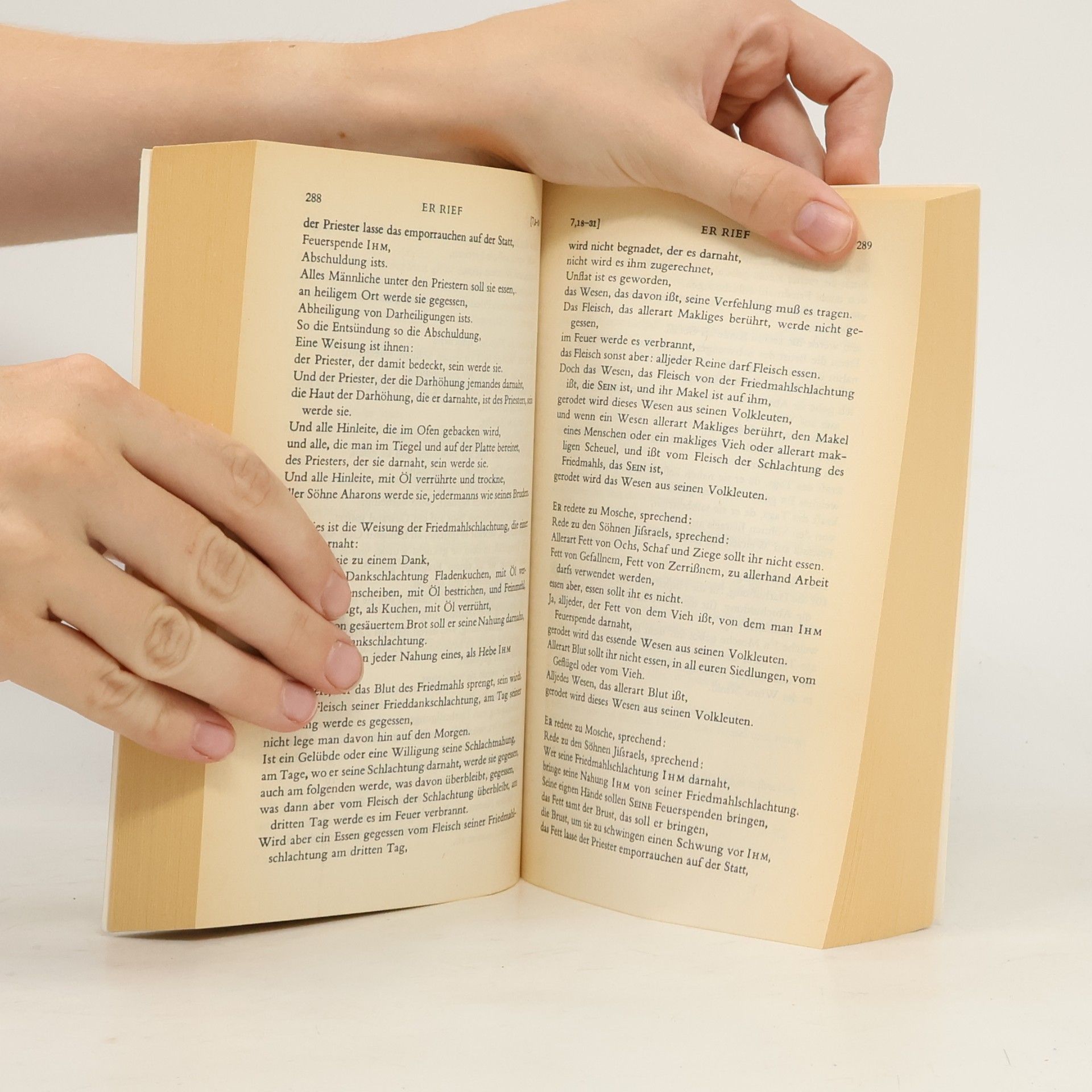 Martin Buber Die fünf Bücher der Weisung