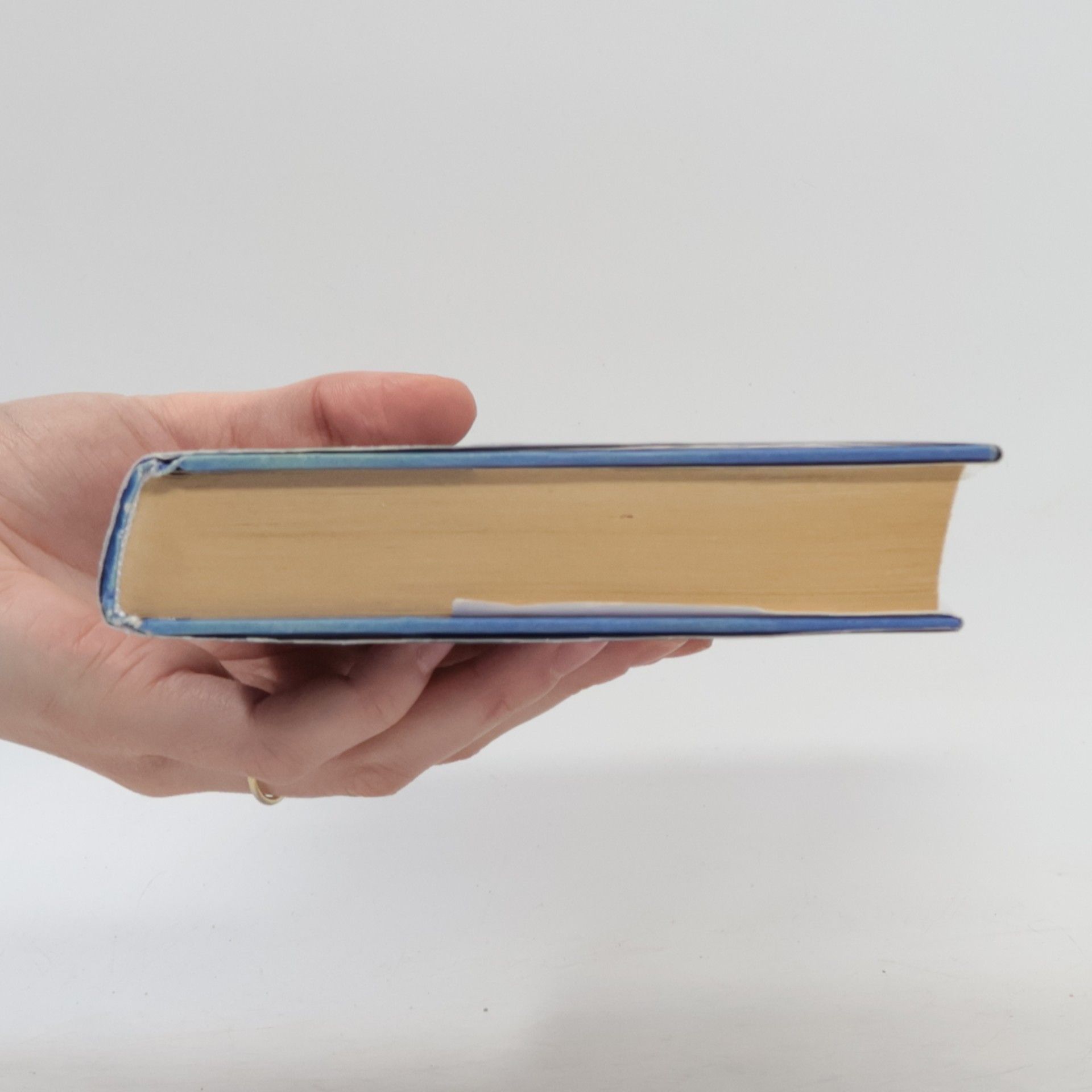 Danielle Steel Záležitost srdce