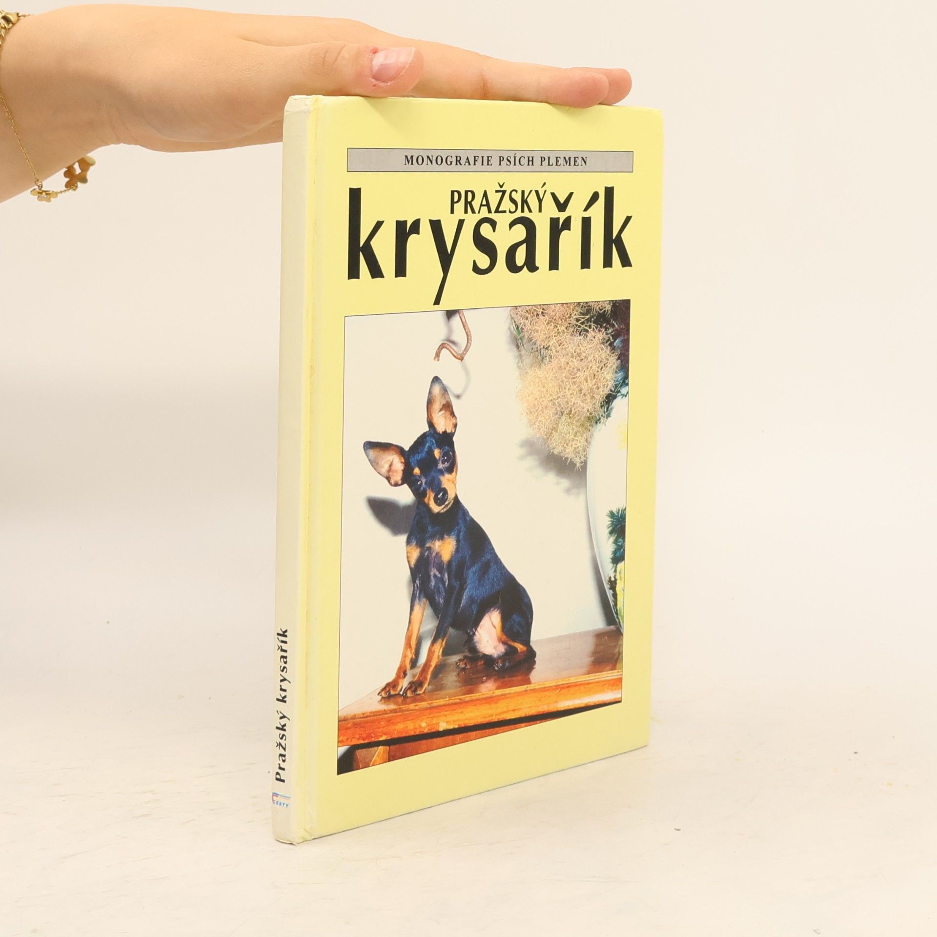 Collectif d'auteurs Pražský krysařík