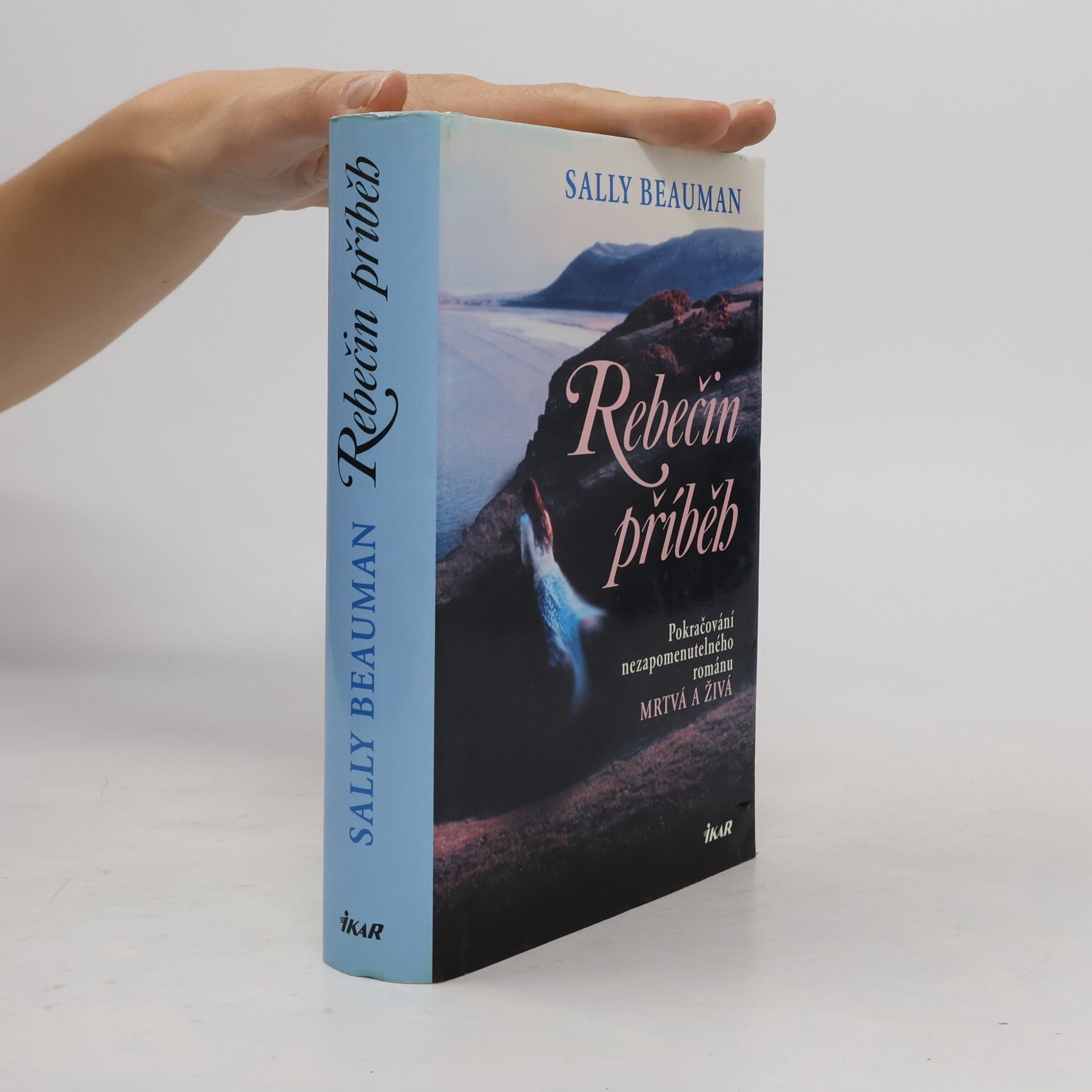 Sally Beauman Rebečin příběh